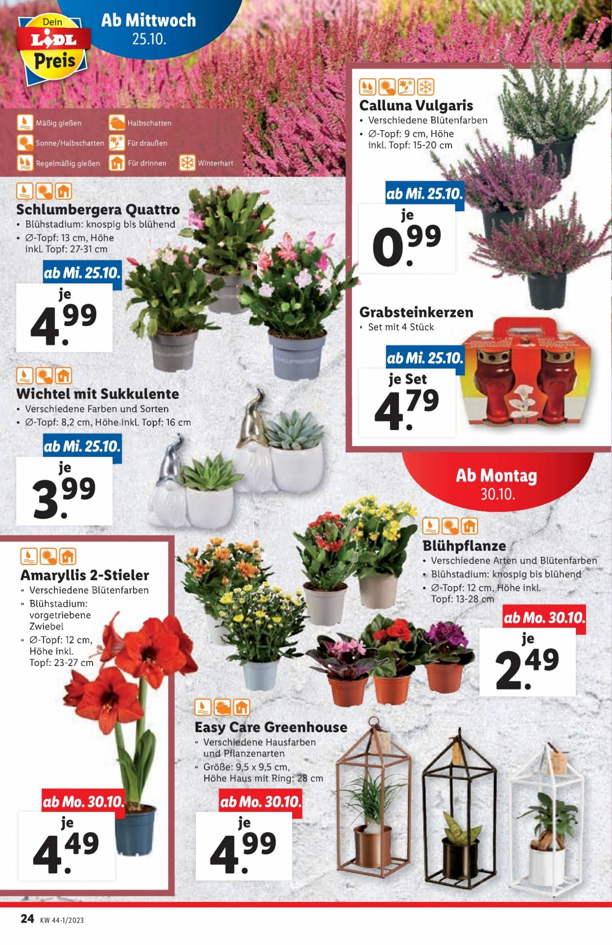 Angebote Lidl - 25.10.2023 - 31.10.2023. Seite 24