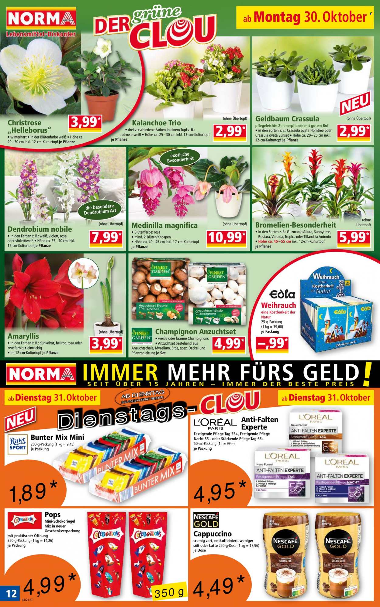 Angebote Norma - 30.10.2023 - 3.11.2023. Seite 12