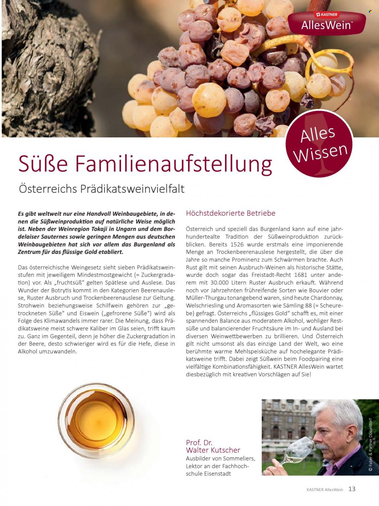 Angebote KASTNER. Seite 13