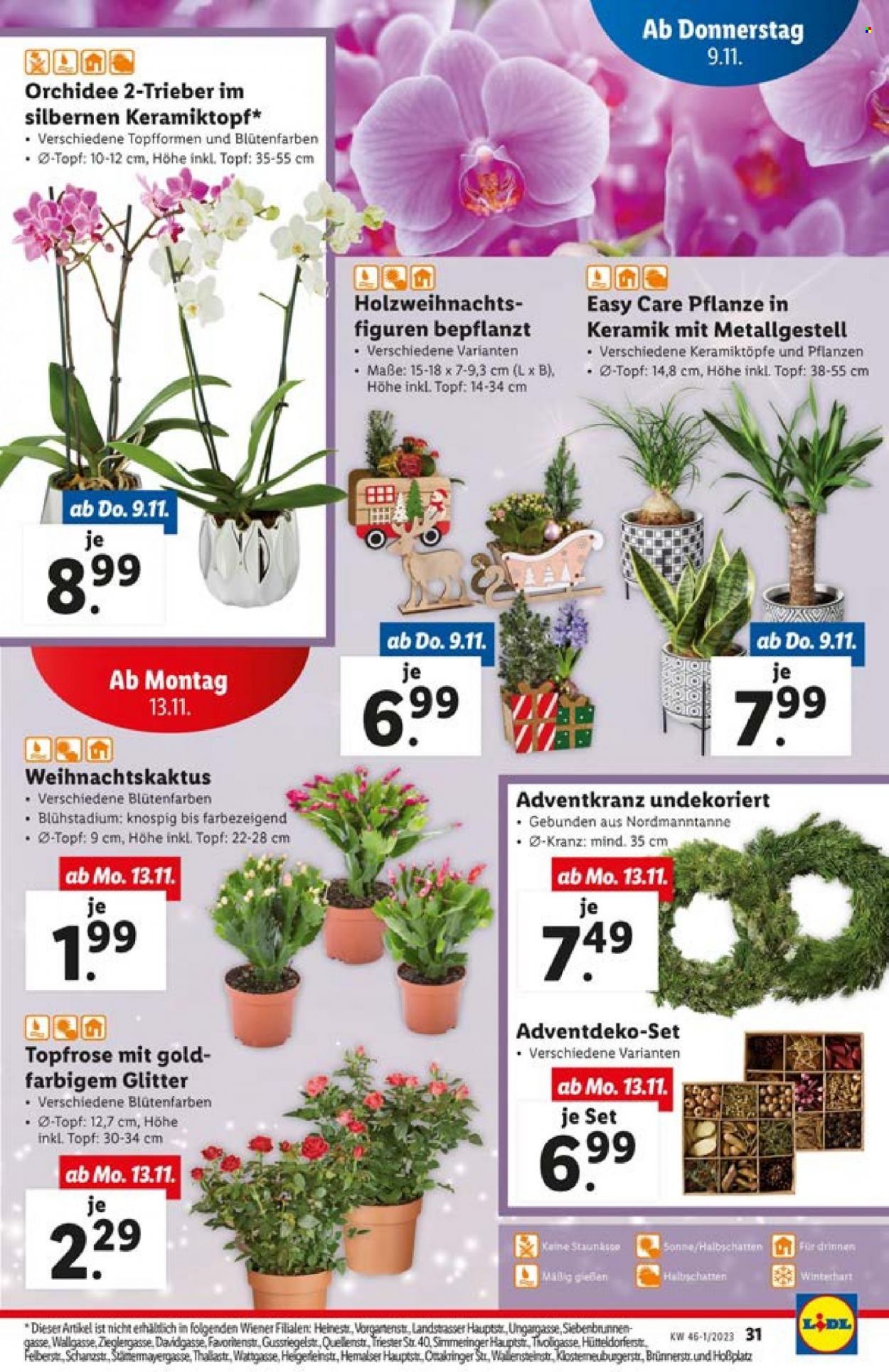 Angebote Lidl - 9.11.2023 - 15.11.2023. Seite 31