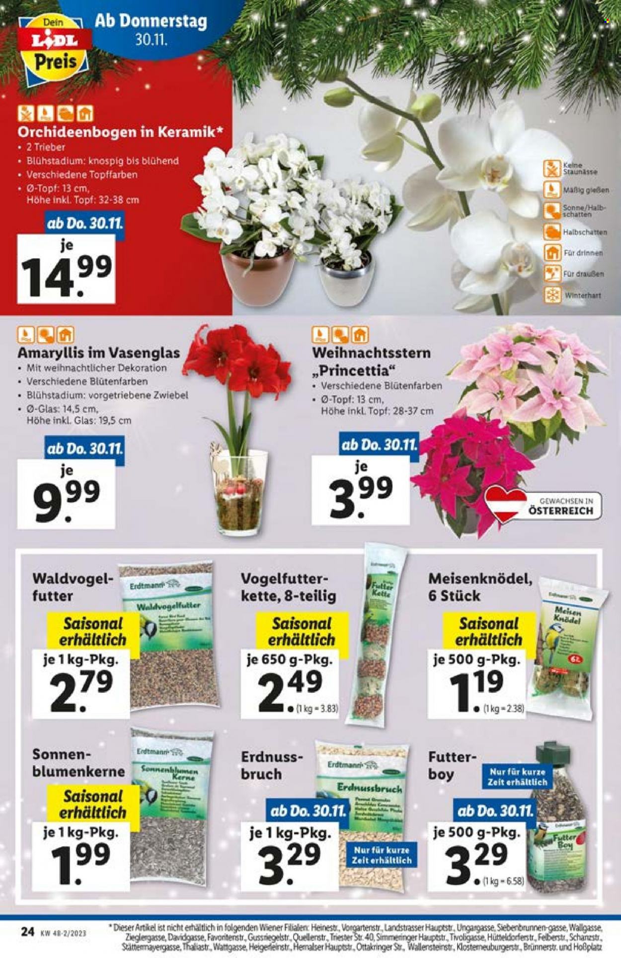 Angebote Lidl - 30.11.2023 - 2.12.2023. Seite 24