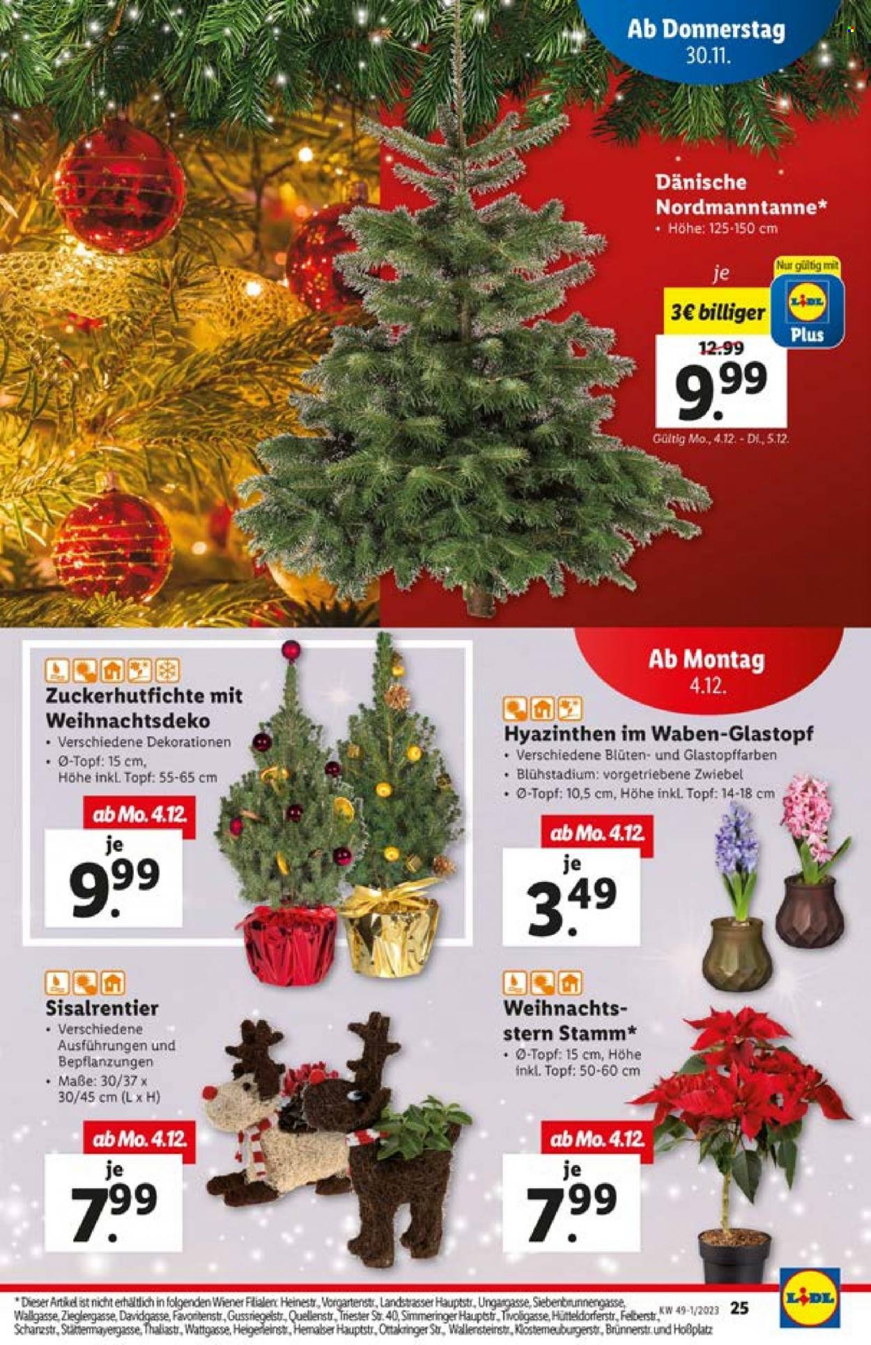 Angebote Lidl - 30.11.2023 - 2.12.2023. Seite 25