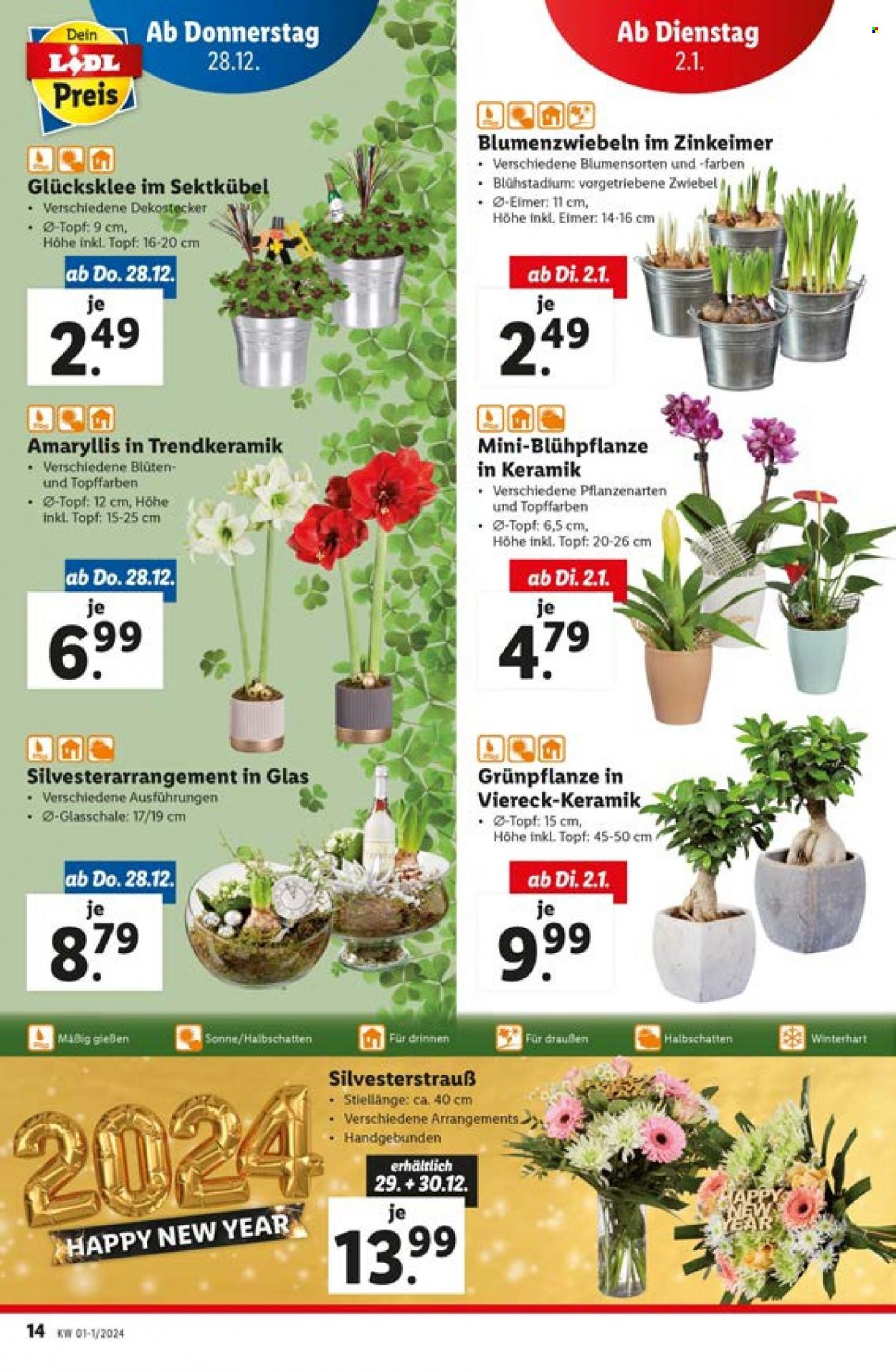 Angebote Lidl - 28.12.2023 - 3.1.2024. Seite 14
