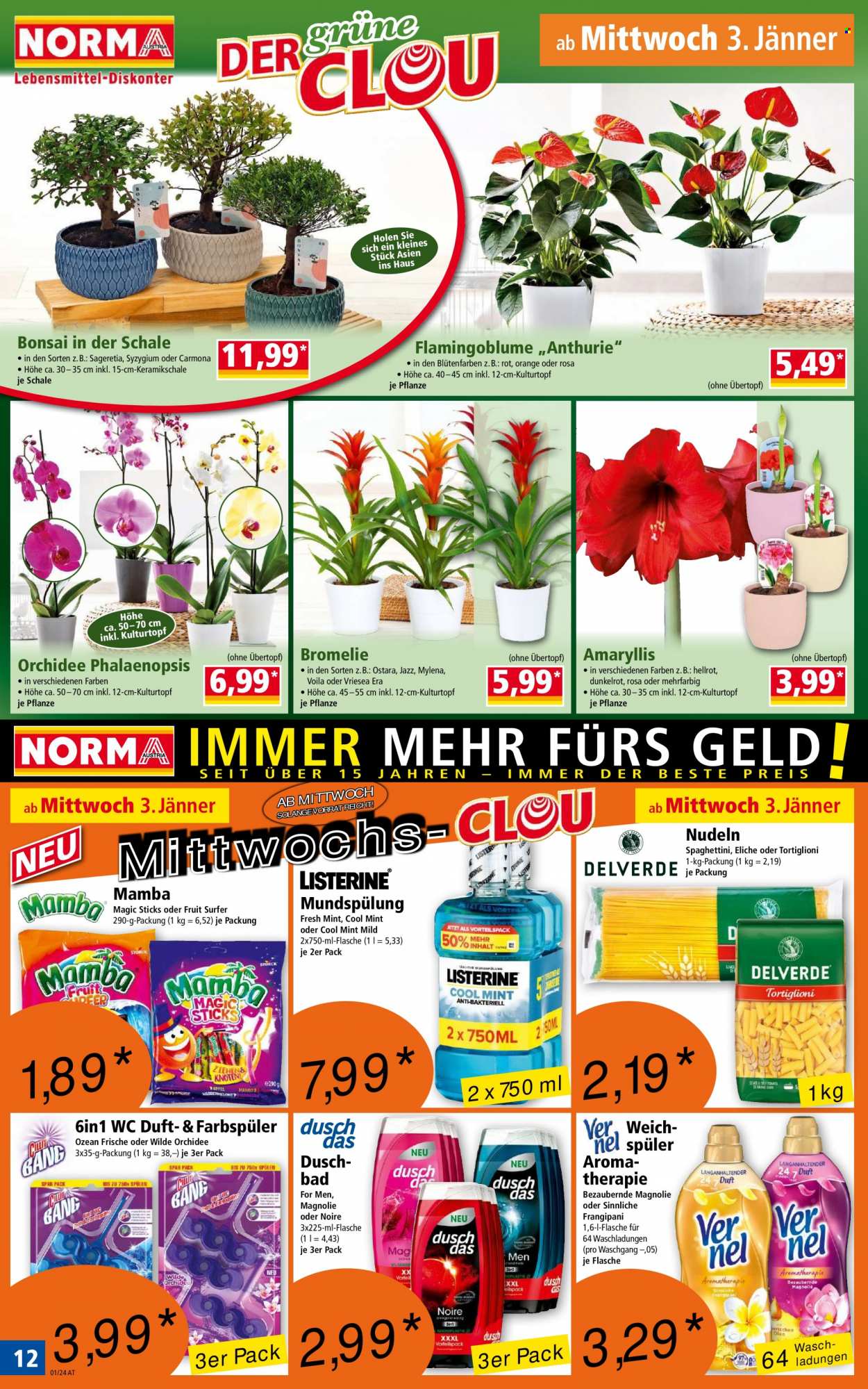 Angebote Norma - 2.1.2024 - 5.1.2024. Seite 12