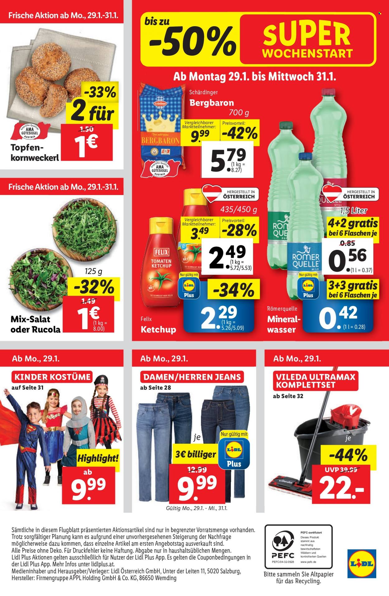 Angebote Lidl - 25.1.2024 - 31.1.2024. Seite 41