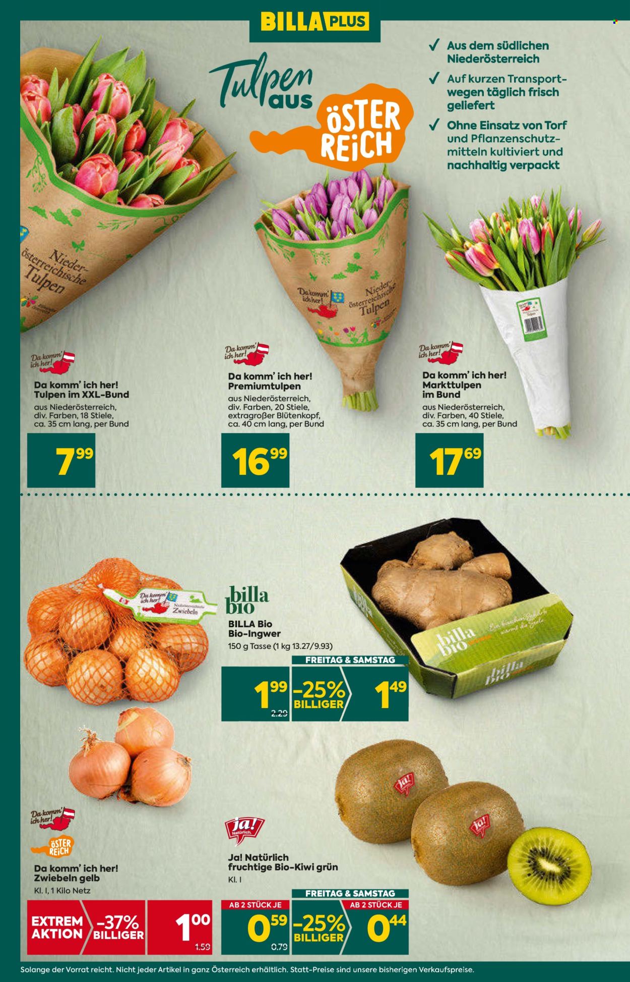 Angebote Billa Plus - 25.1.2024 - 31.1.2024. Seite 8