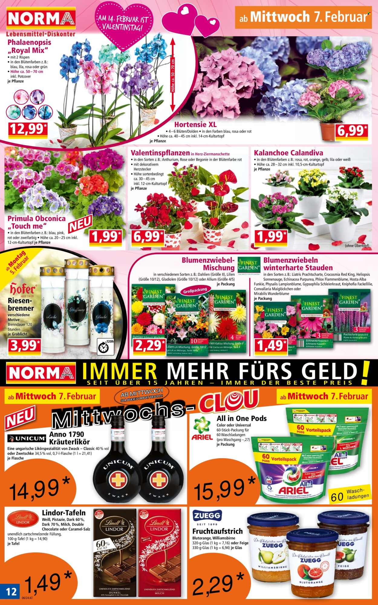 Angebote Norma - 5.2.2024 - 11.2.2024. Seite 12