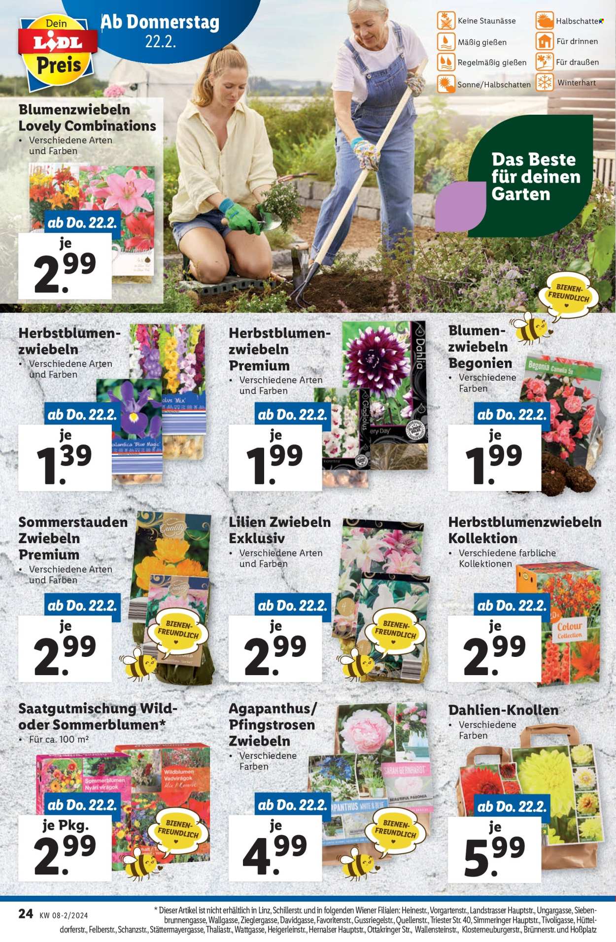 Angebote Lidl - 22.2.2024 - 28.2.2024. Seite 25