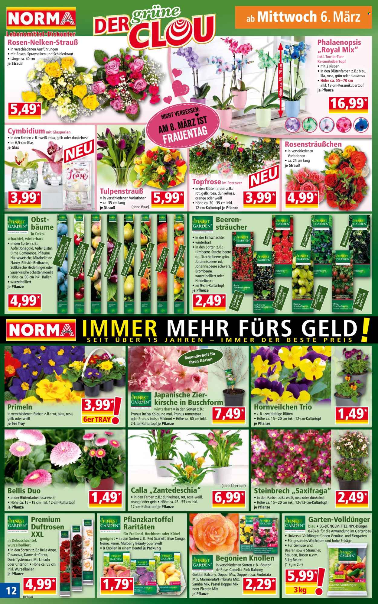 Angebote Norma - 4.3.2024 - 10.3.2024. Seite 12