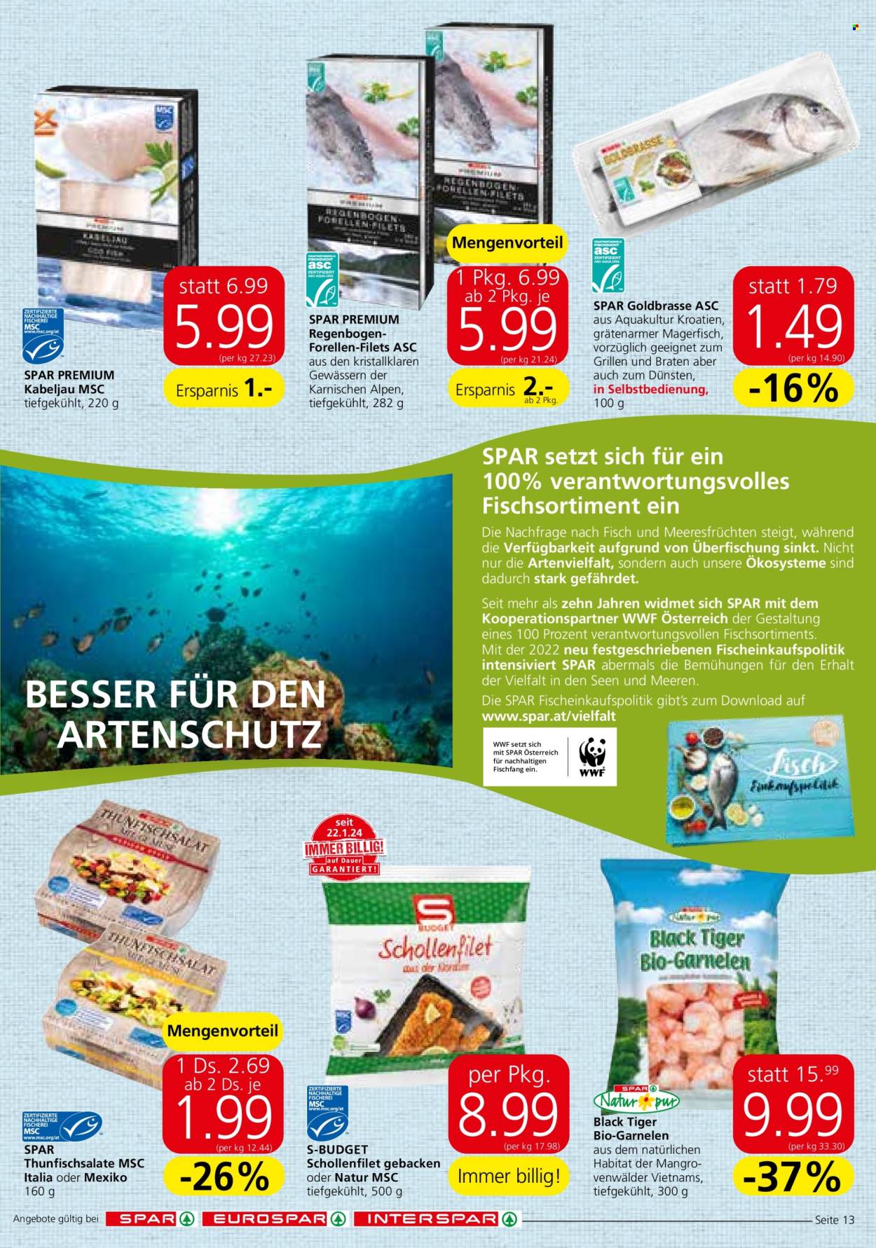 Angebote SPAR - 14.3.2024 - 20.3.2024. Seite 13
