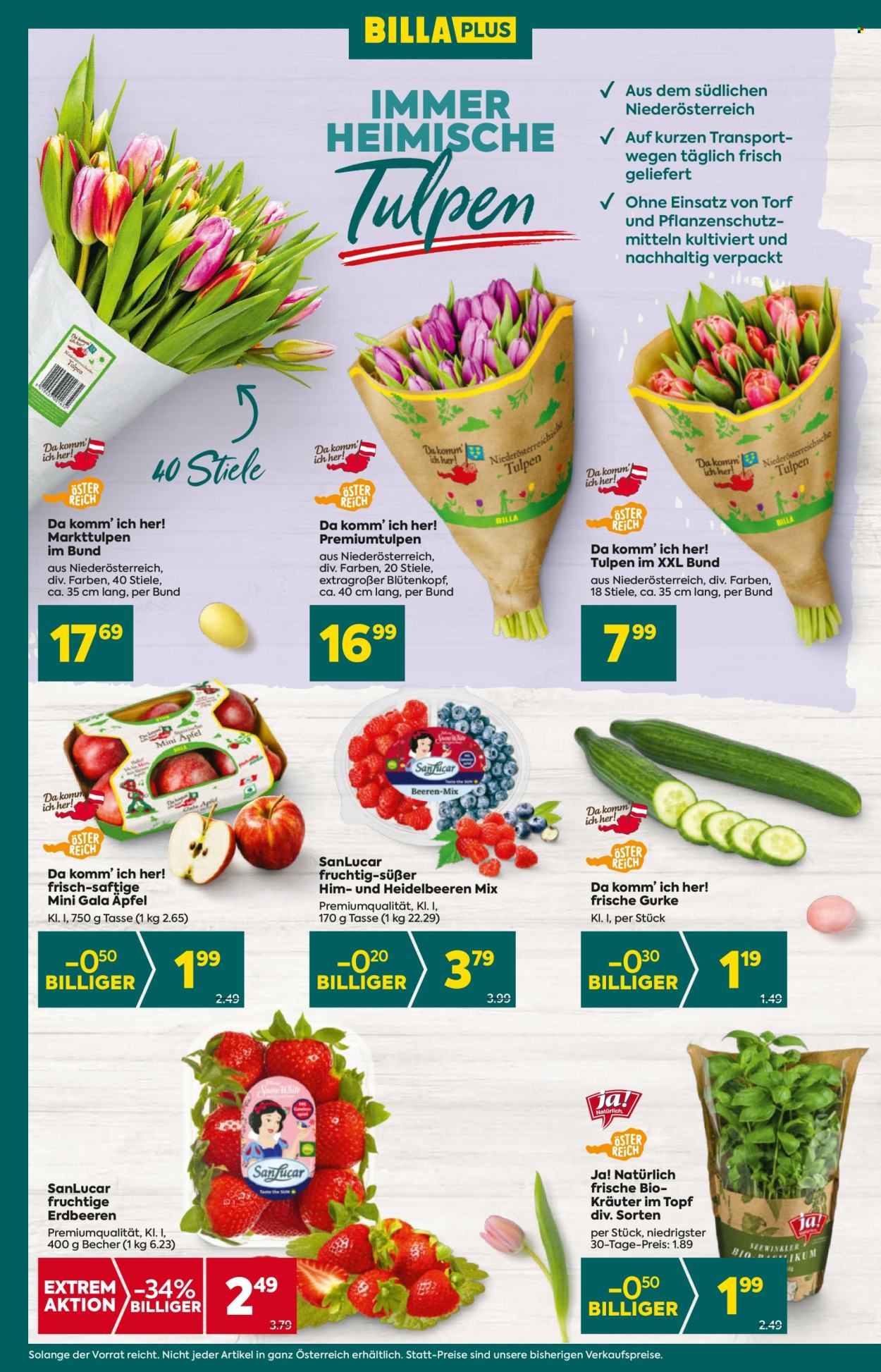Angebote Billa Plus - 14.3.2024 - 20.3.2024. Seite 8