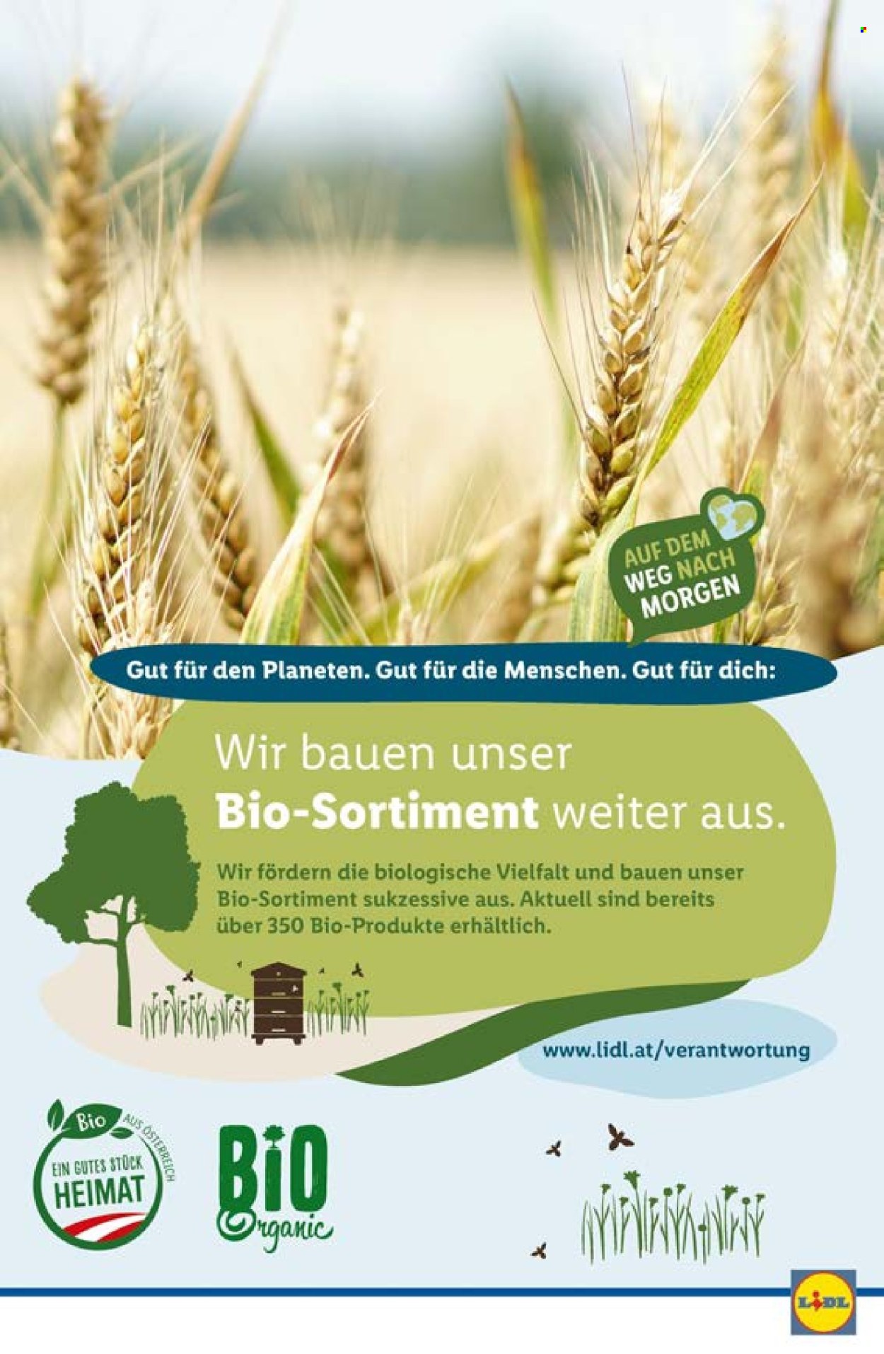 Angebote Lidl - 21.3.2024 - 27.3.2024. Seite 44