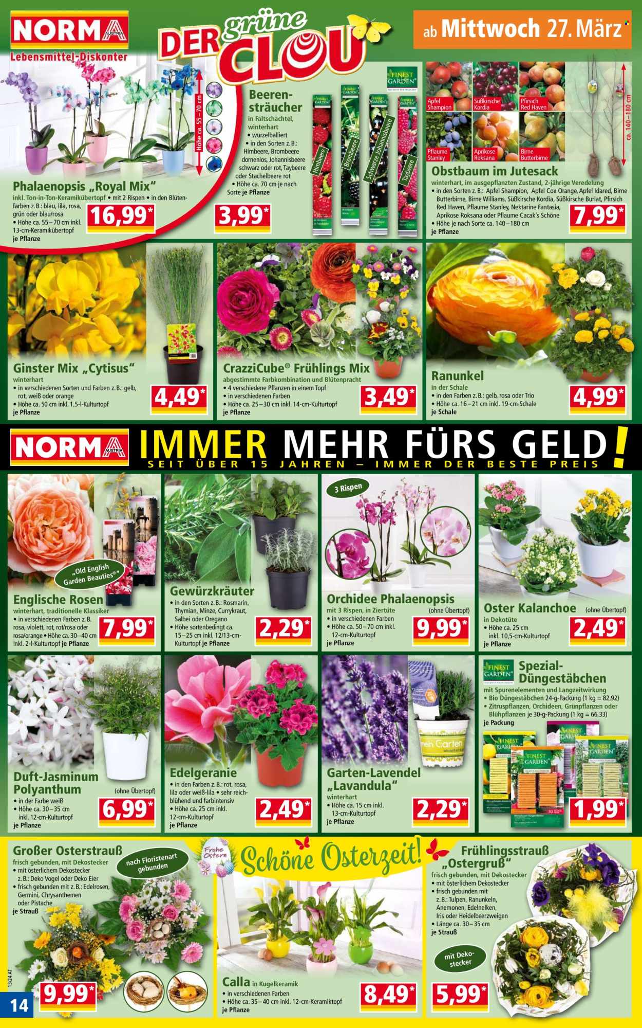Angebote Norma - 25.3.2024 - 31.3.2024. Seite 14