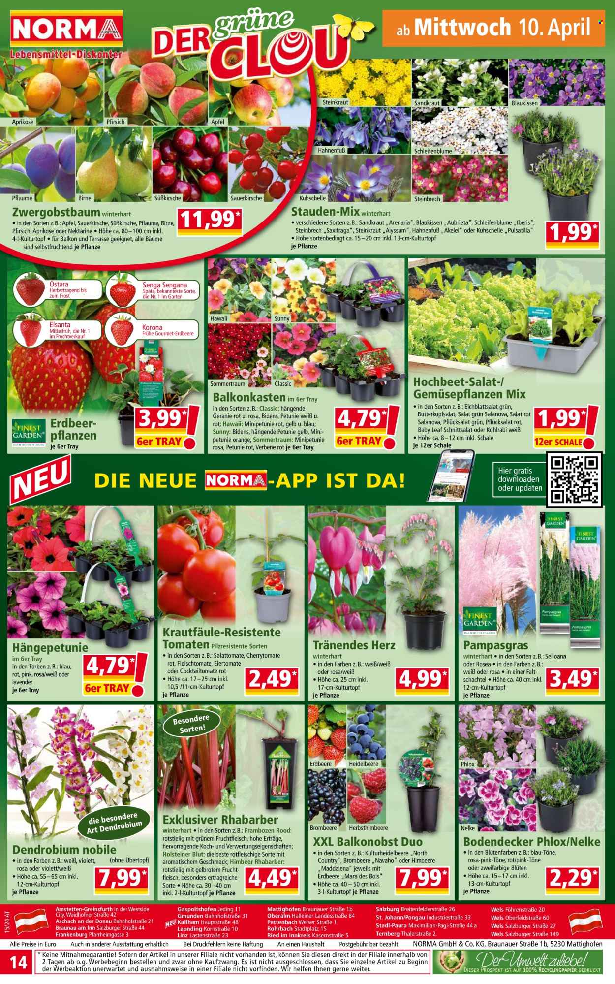 Angebote Norma - 8.4.2024 - 14.4.2024. Seite 14