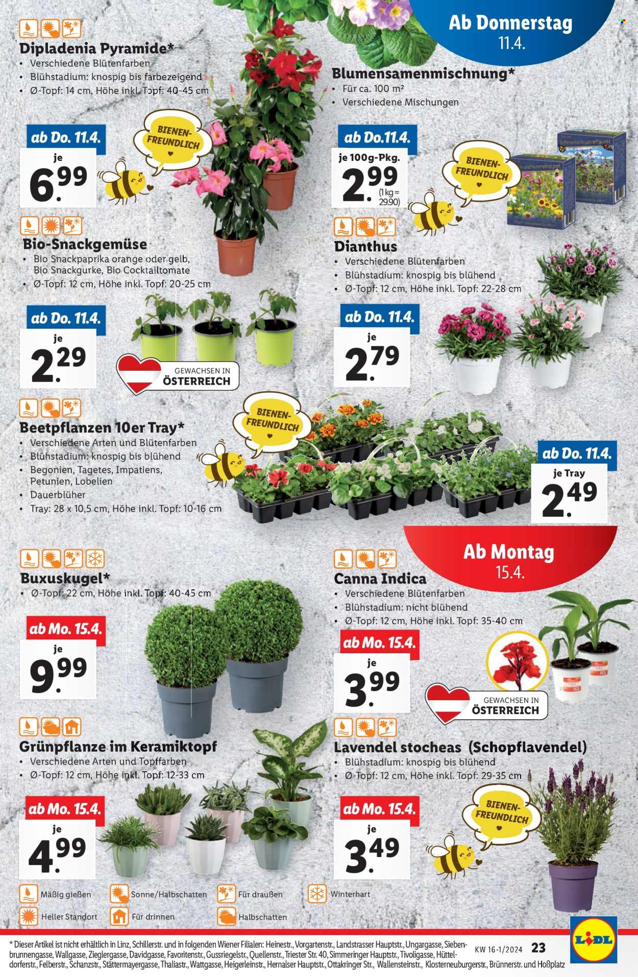 Angebote Lidl - 11.4.2024 - 17.4.2024. Seite 25