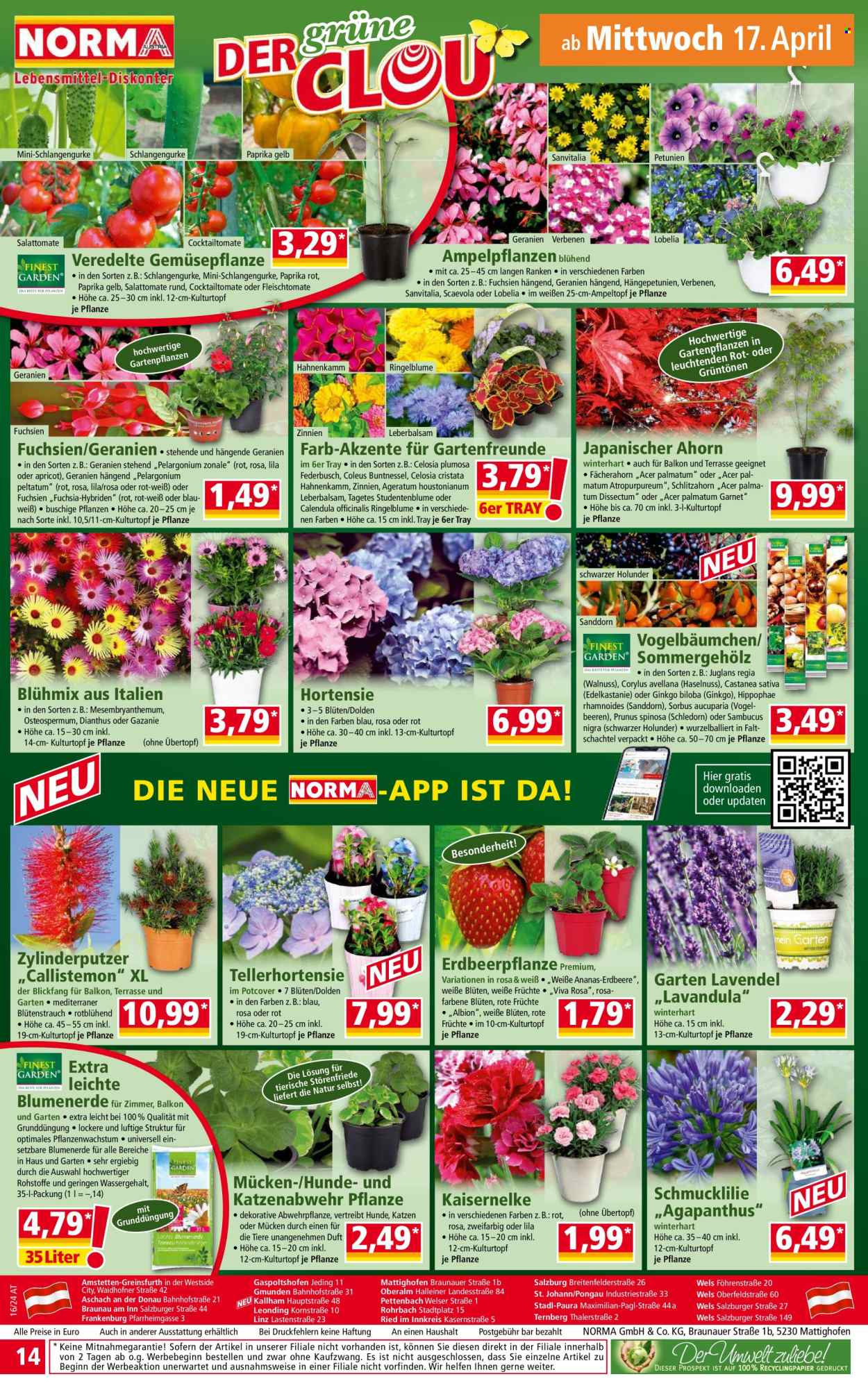 Angebote Norma - 15.4.2024 - 21.4.2024. Seite 14