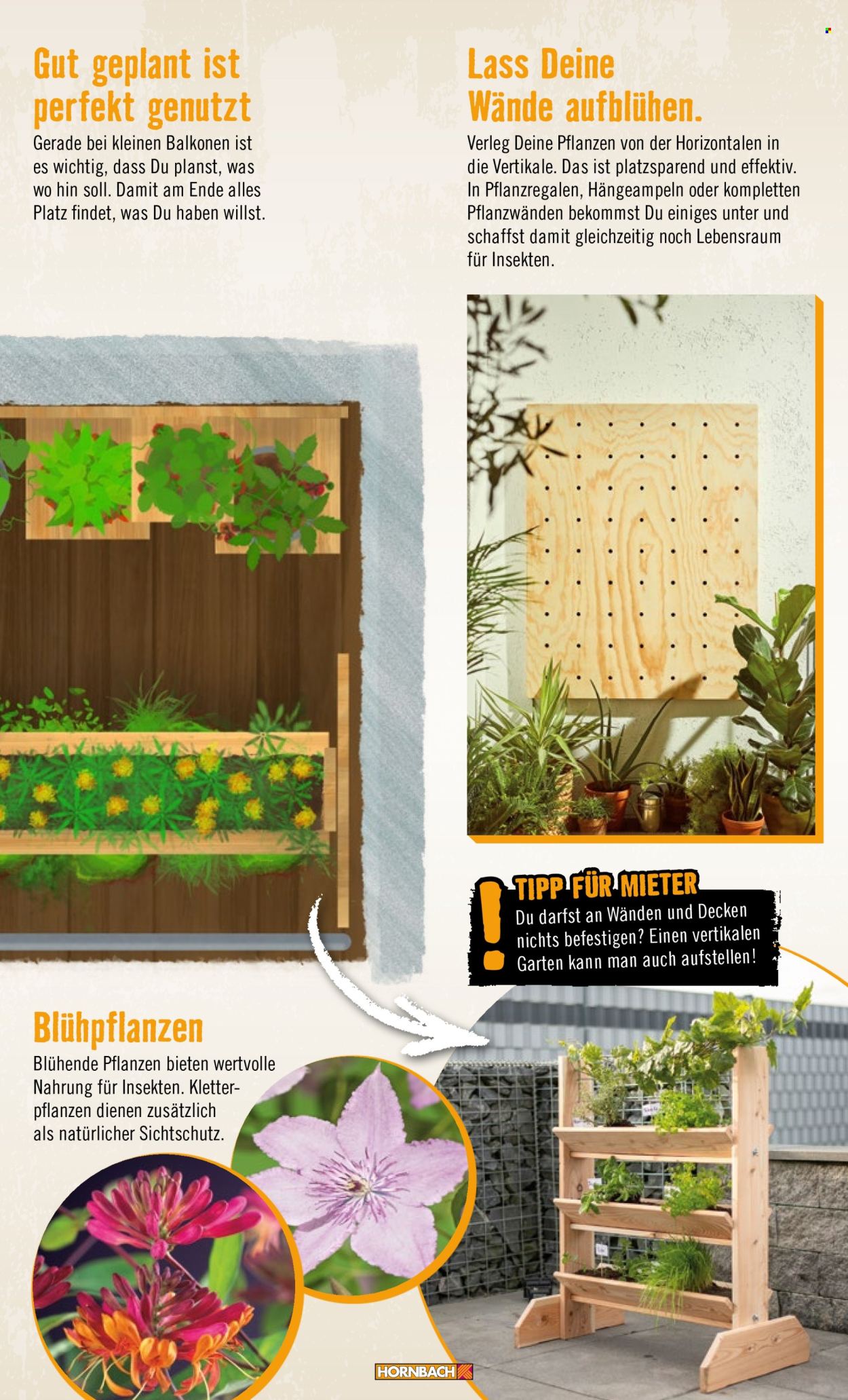 Angebote Hornbach. Seite 13