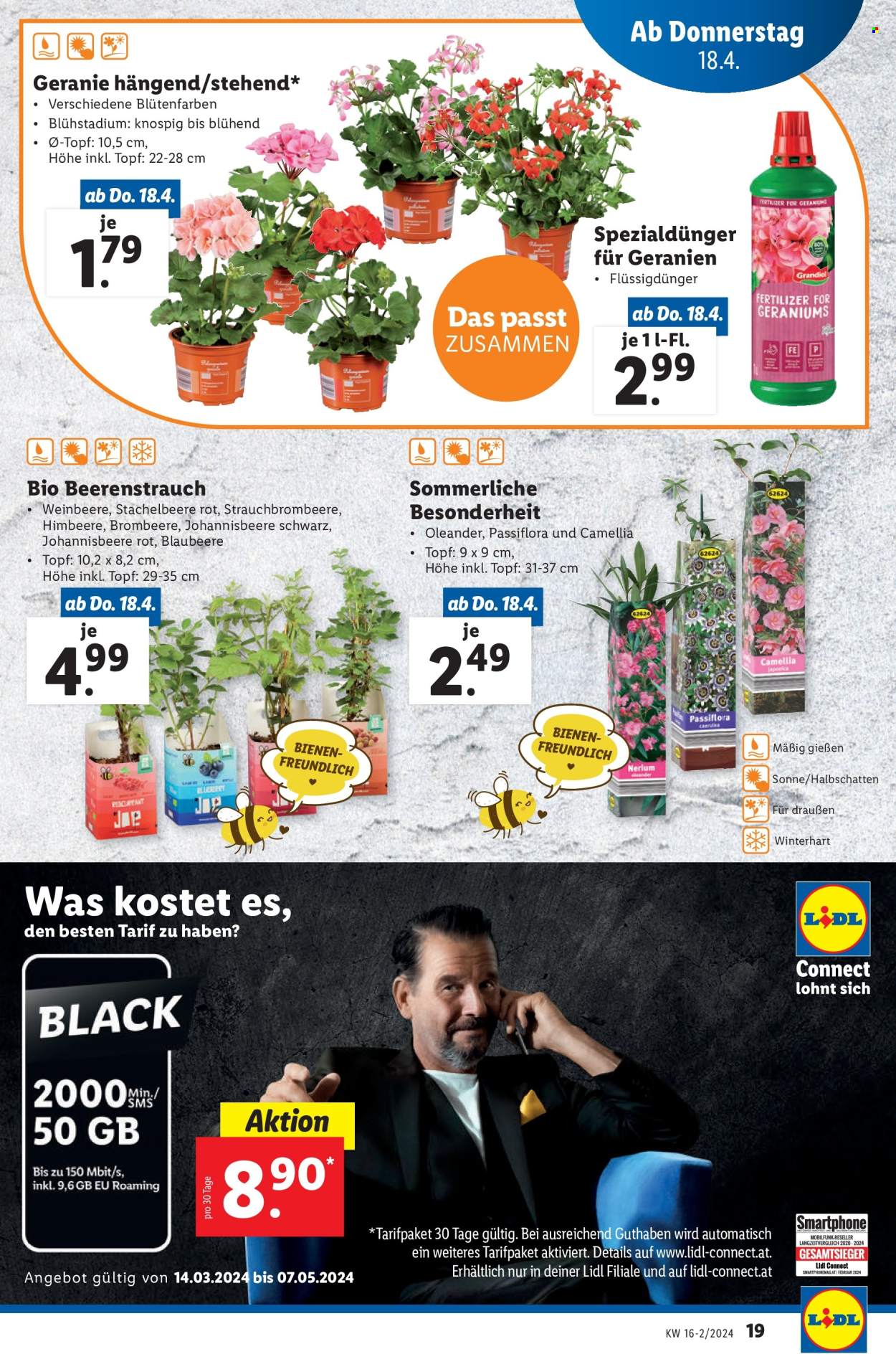 Angebote Lidl - 18.4.2024 - 24.4.2024. Seite 19