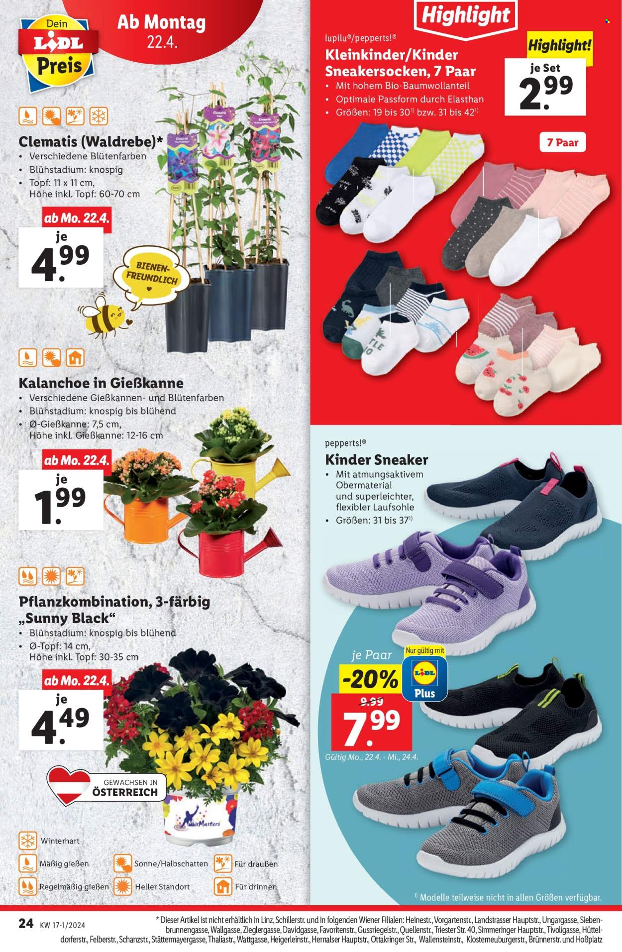 Angebote Lidl - 18.4.2024 - 24.4.2024. Seite 26