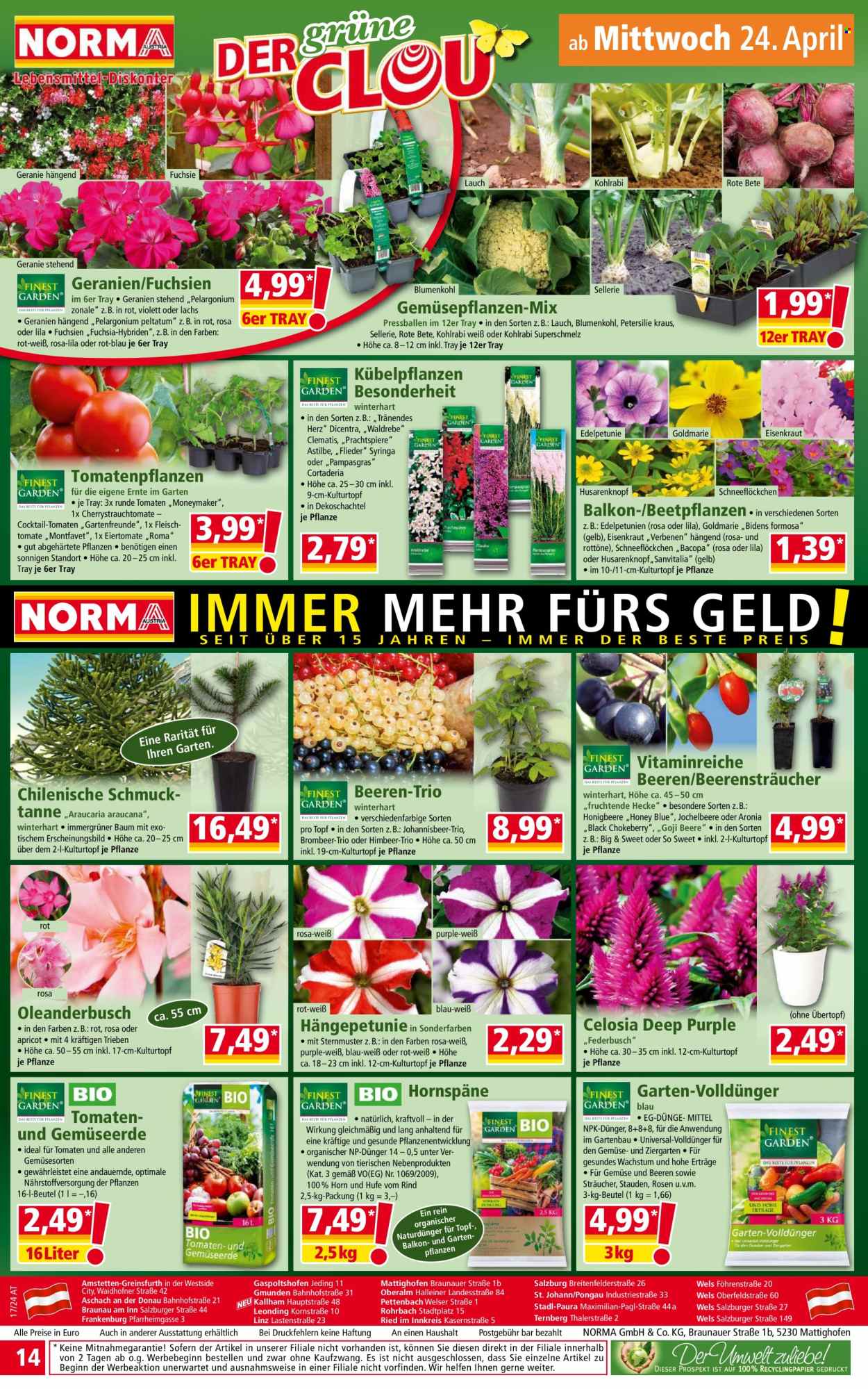 Angebote Norma - 22.4.2024 - 28.4.2024. Seite 14