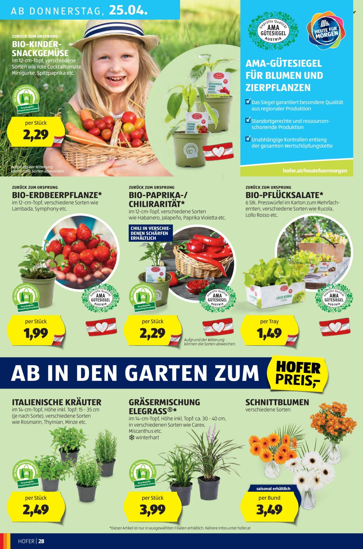 Angebote Hofer - 19.4.2024 - 25.4.2024. Seite 30