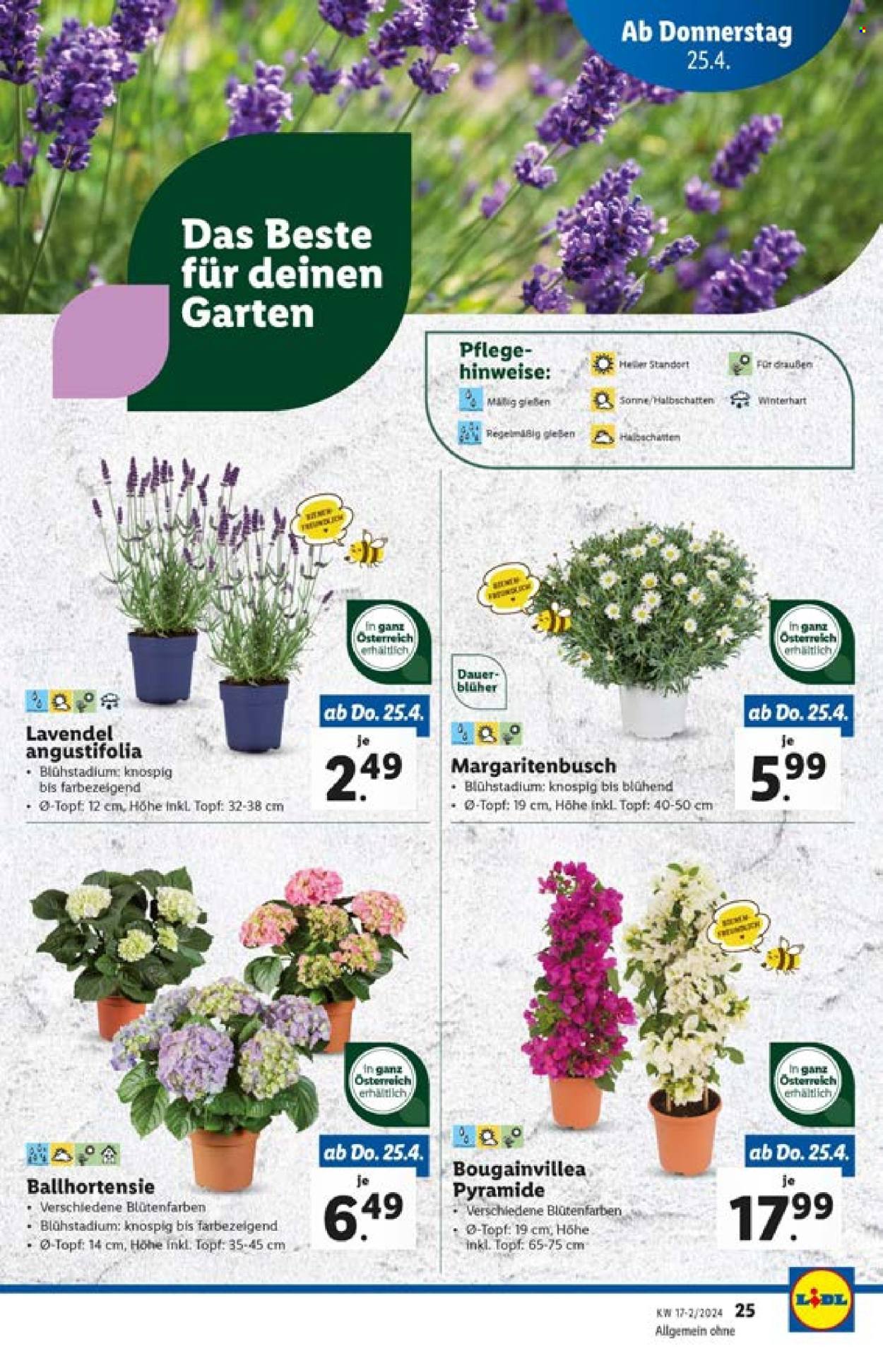 Angebote Lidl - 25.4.2024 - 1.5.2024. Seite 27