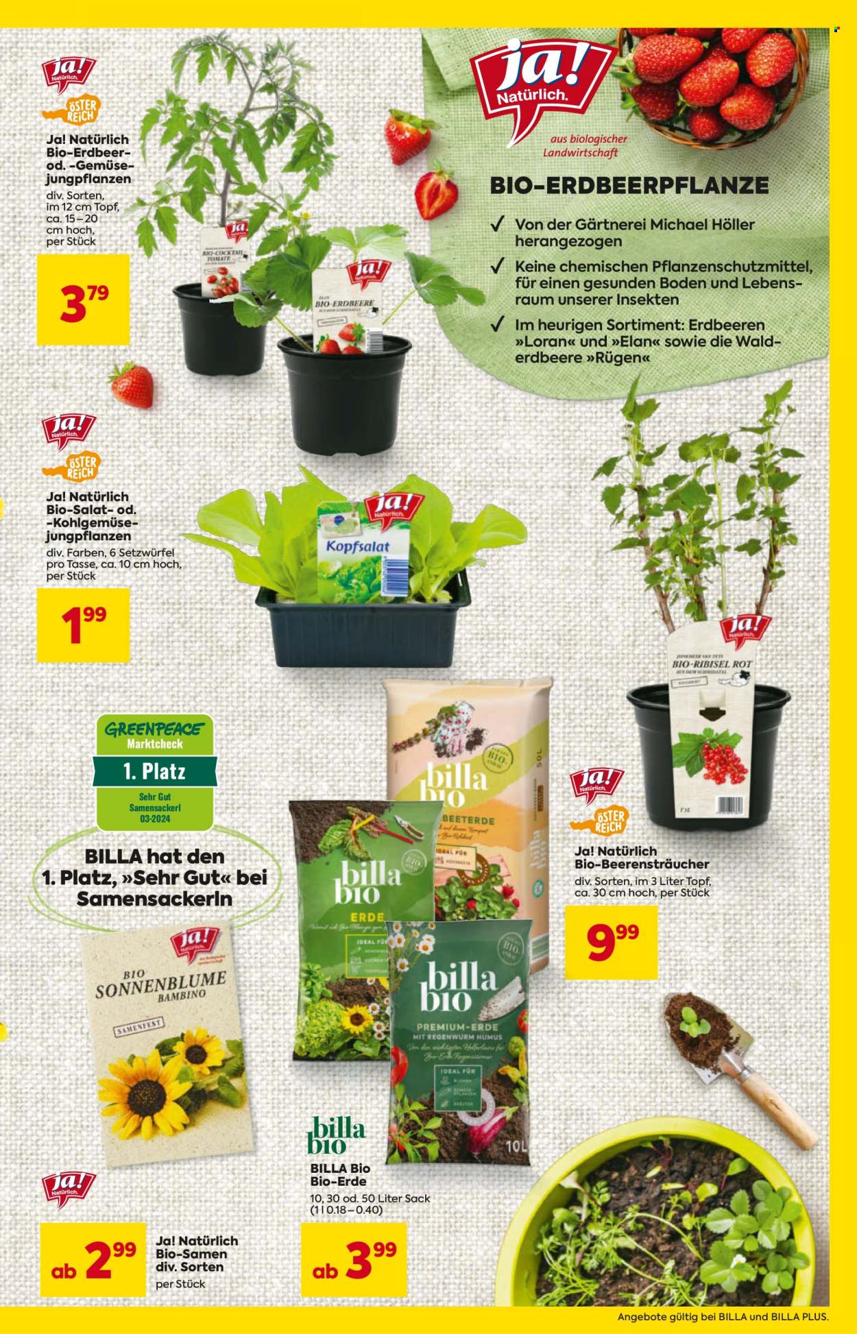 Angebote Billa - 18.4.2024 - 4.5.2024. Seite 3