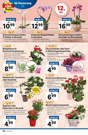 thumbnail - Gardenie
