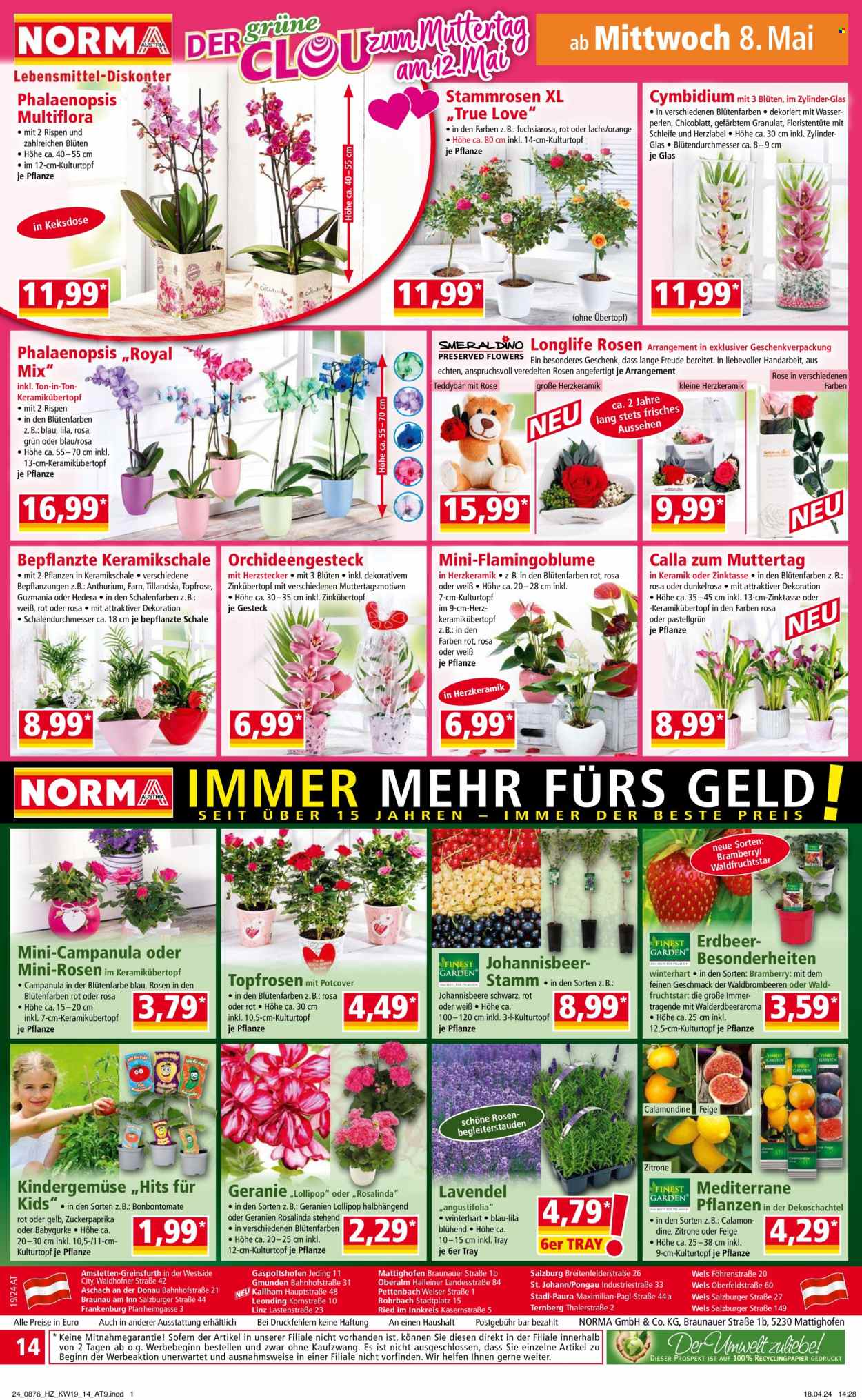 Angebote Norma - 6.5.2024 - 12.5.2024. Seite 14
