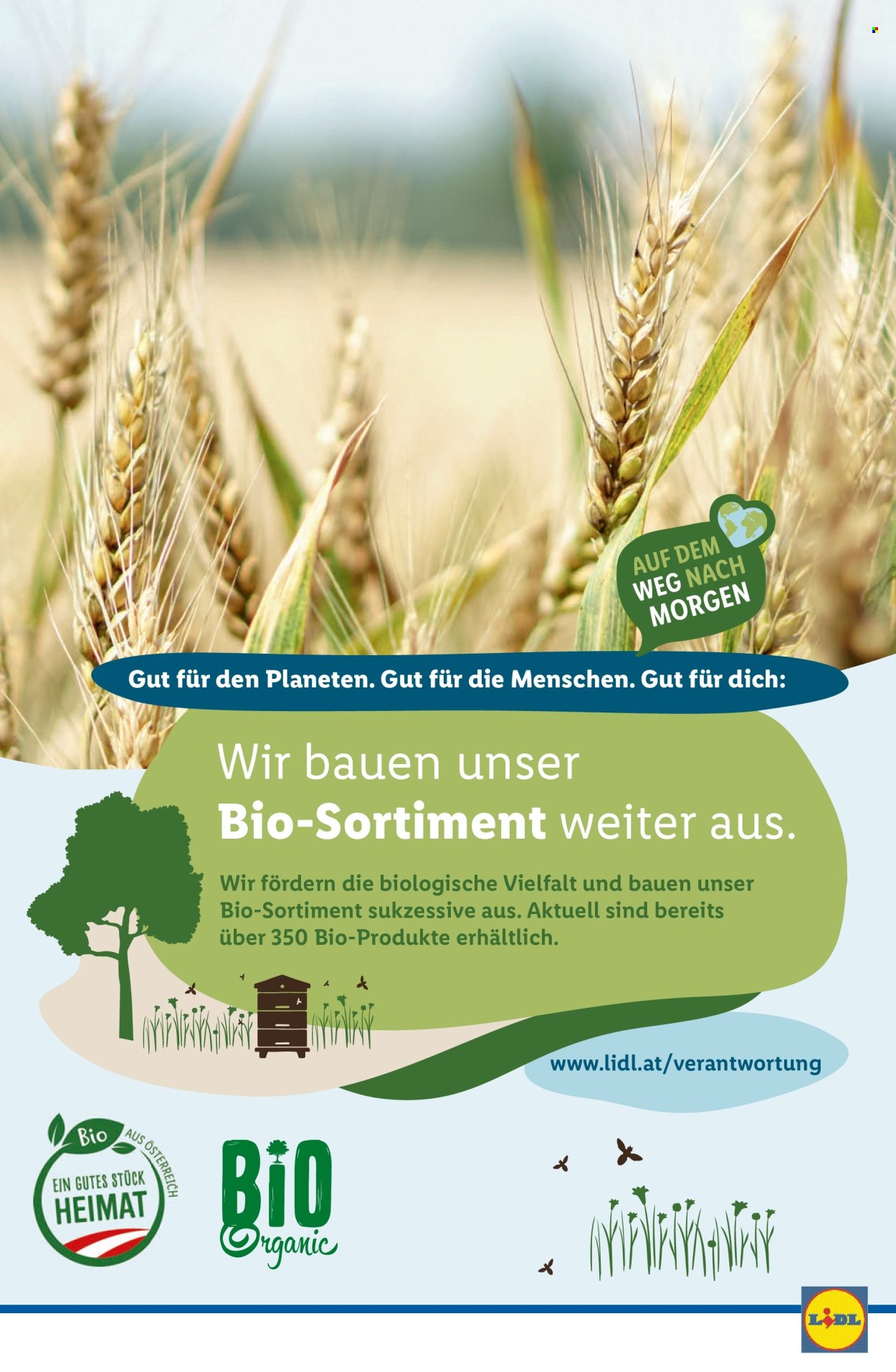 Angebote Lidl - 8.5.2024 - 14.5.2024. Seite 42