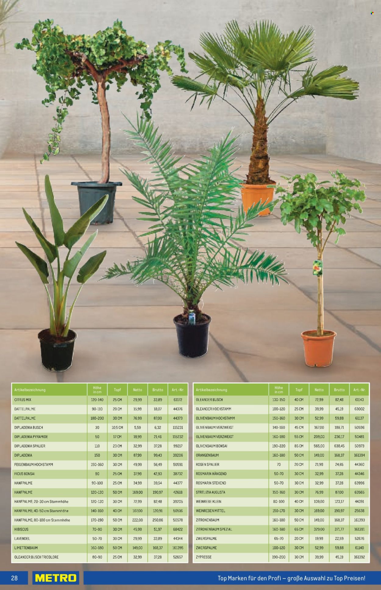 Angebote Metro - 16.5.2024 - 29.5.2024. Seite 28