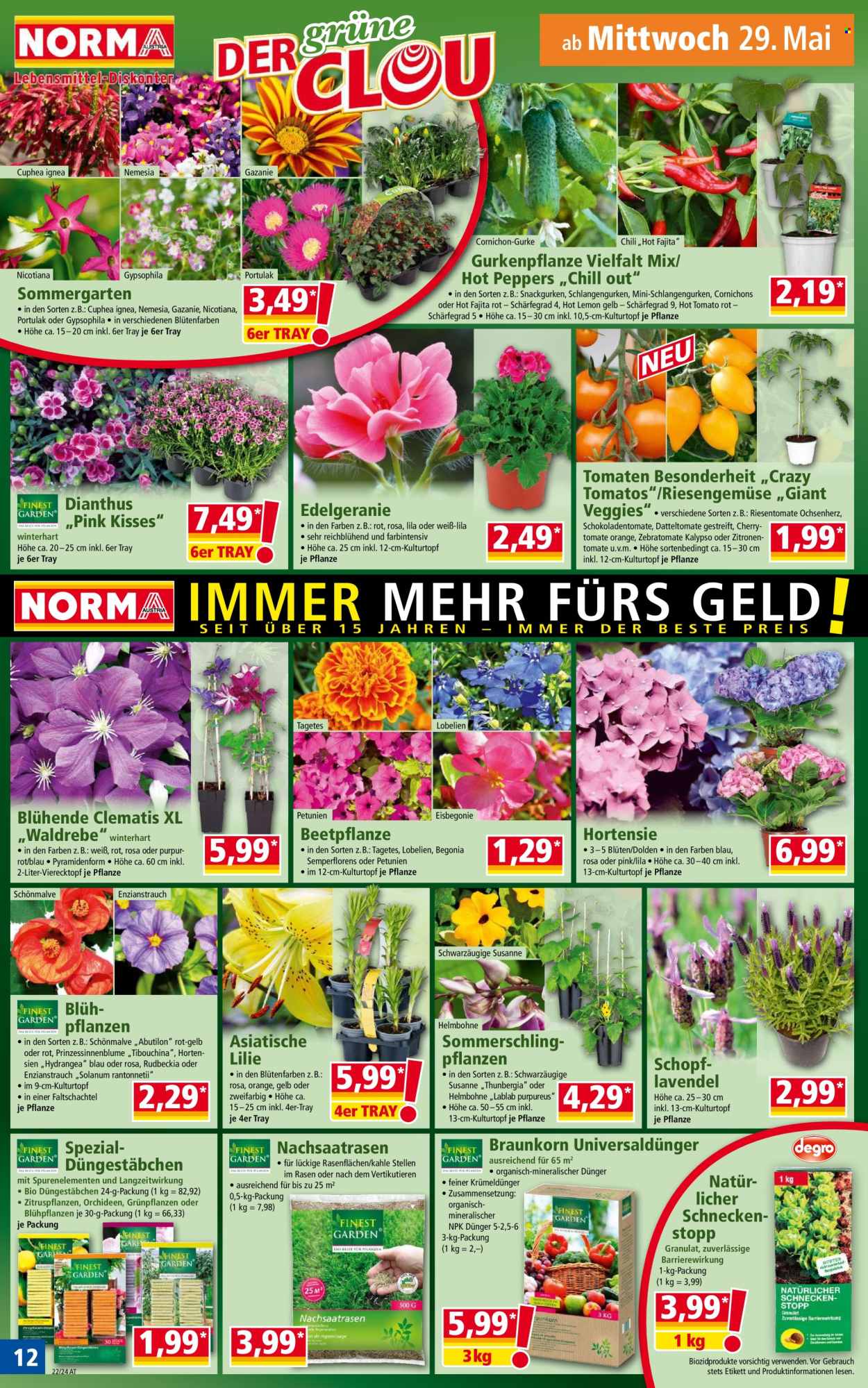 Angebote Norma - 27.5.2024 - 2.6.2024. Seite 12