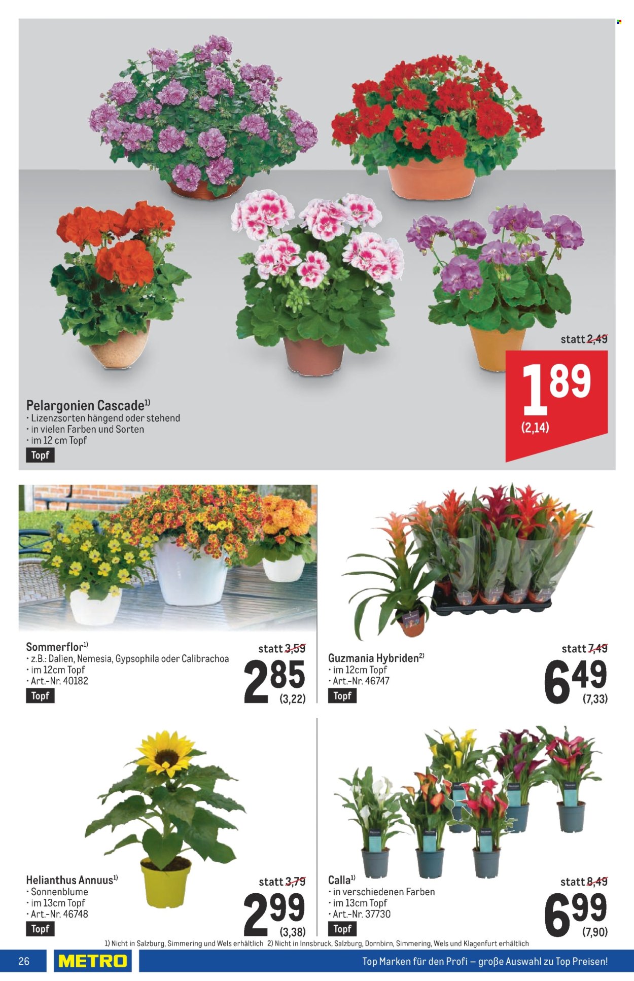 Angebote Metro - 31.5.2024 - 12.6.2024. Seite 26