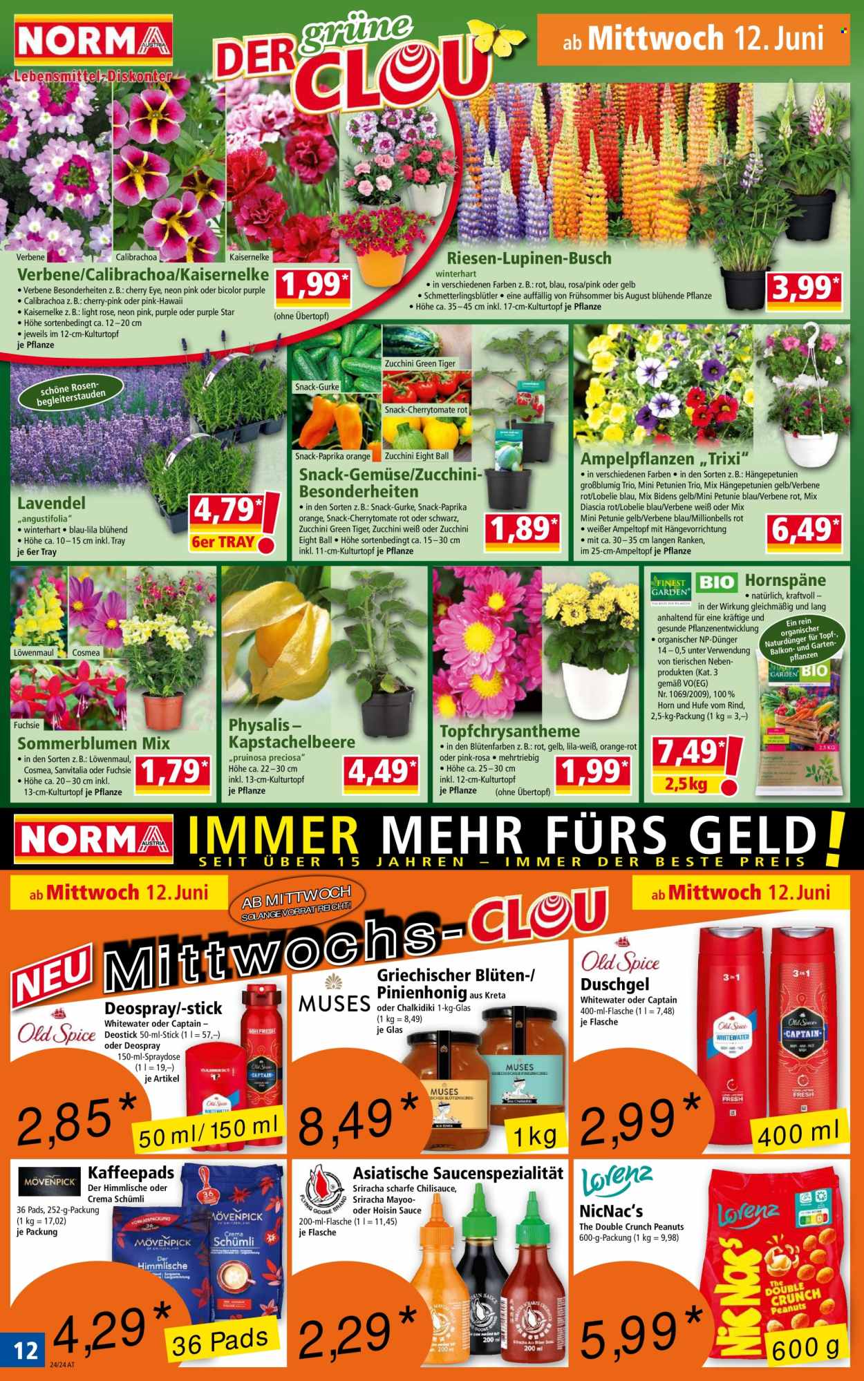 Angebote Norma - 10.6.2024 - 15.6.2024. Seite 12