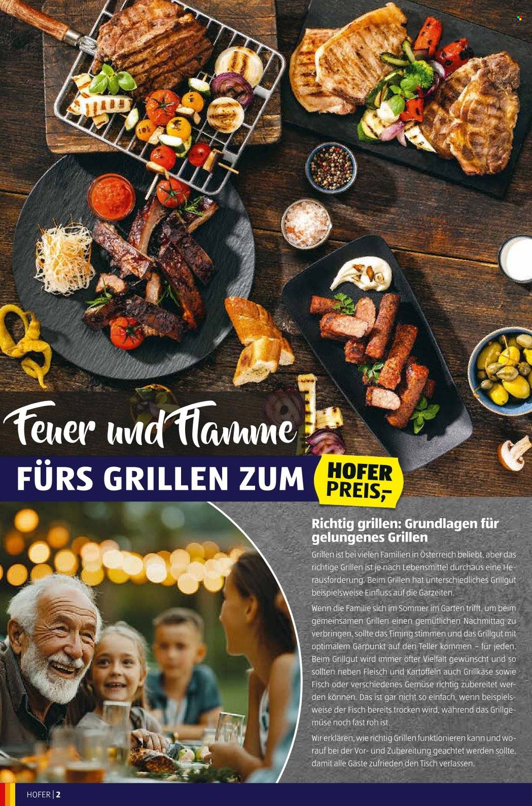 Angebote Hofer. Seite 2