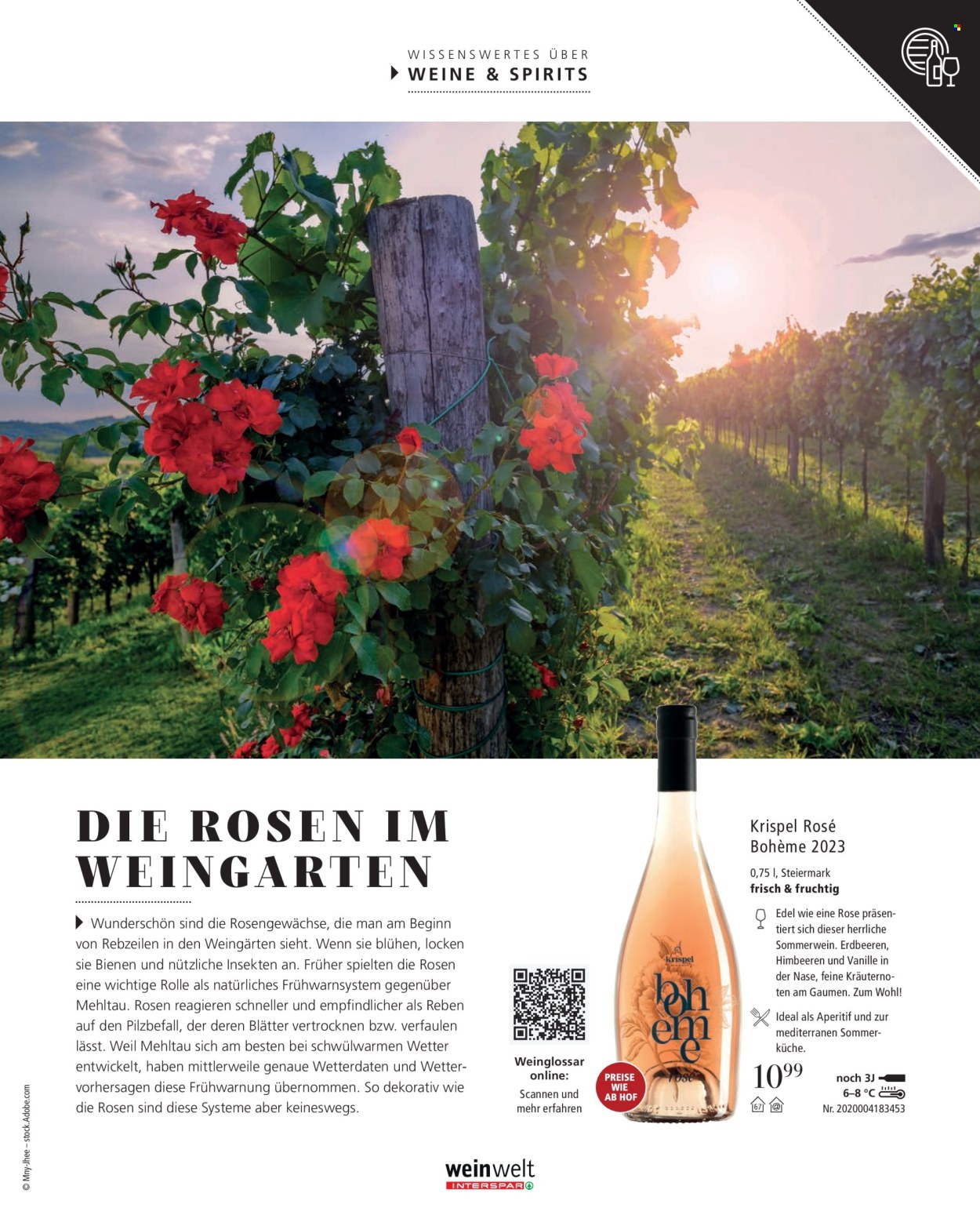 Angebote INTERSPAR - 14.6.2024 - 11.9.2024. Seite 41