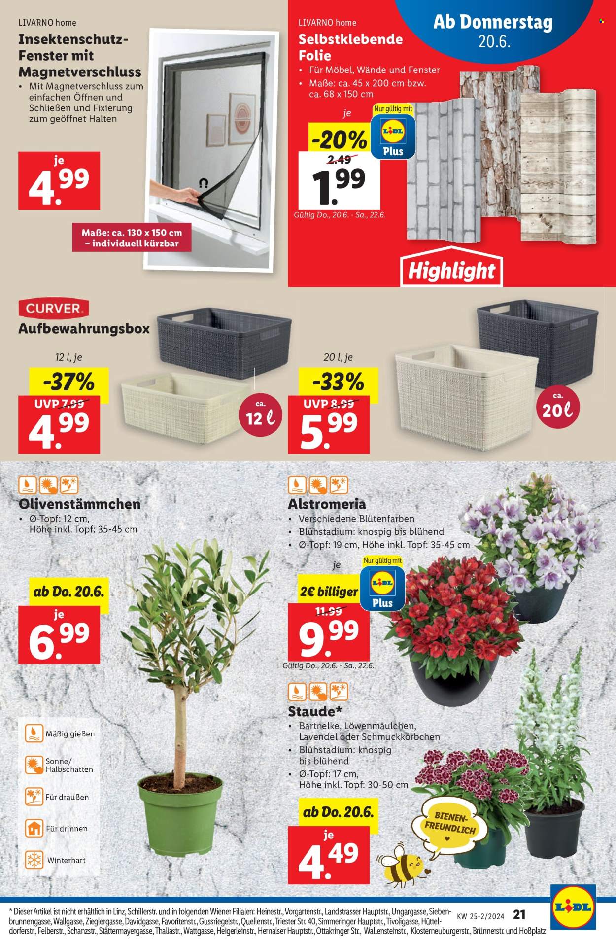 Angebote Lidl - 20.6.2024 - 26.6.2024. Seite 21
