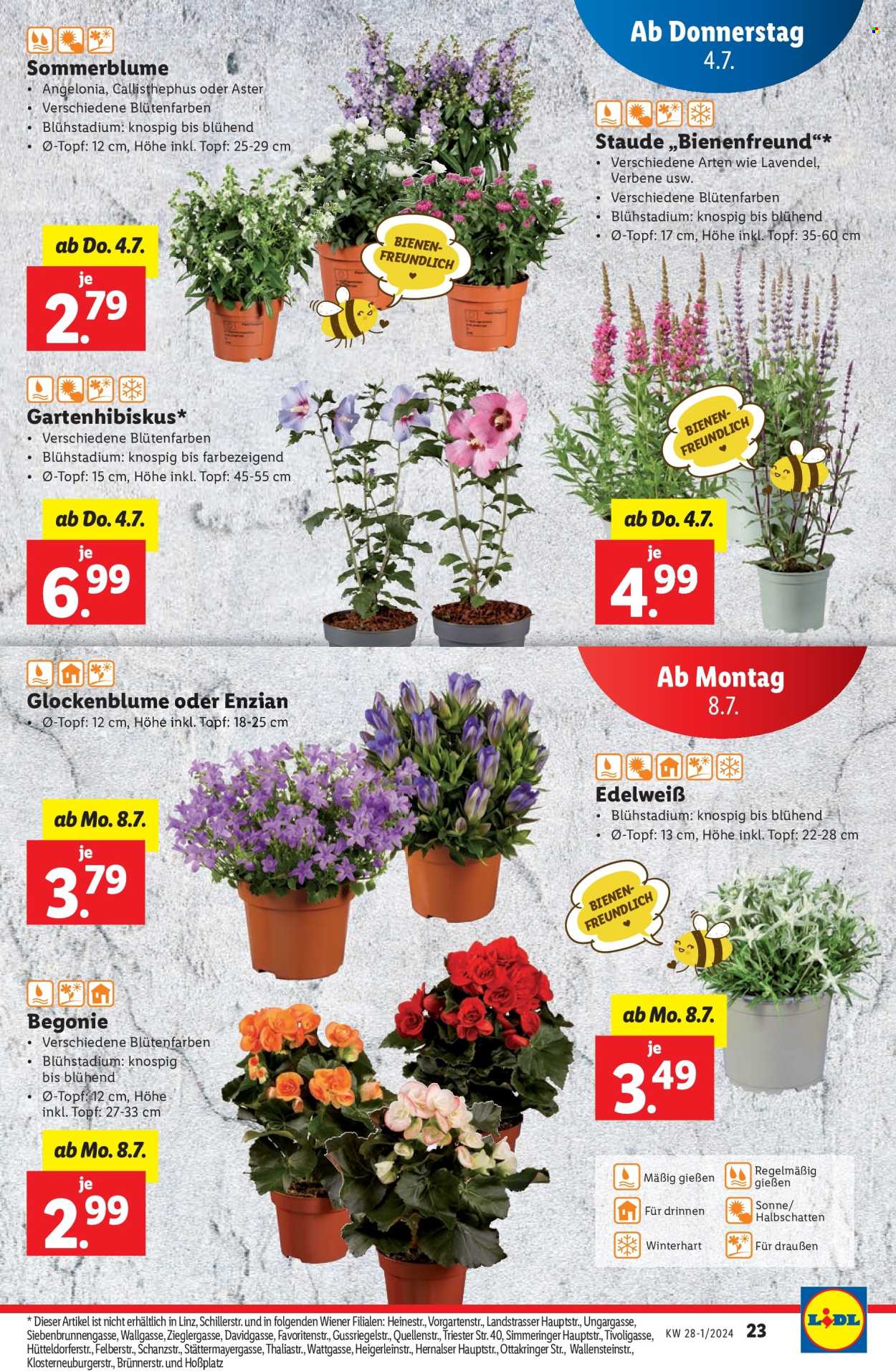 Angebote Lidl - 4.7.2024 - 10.7.2024. Seite 23