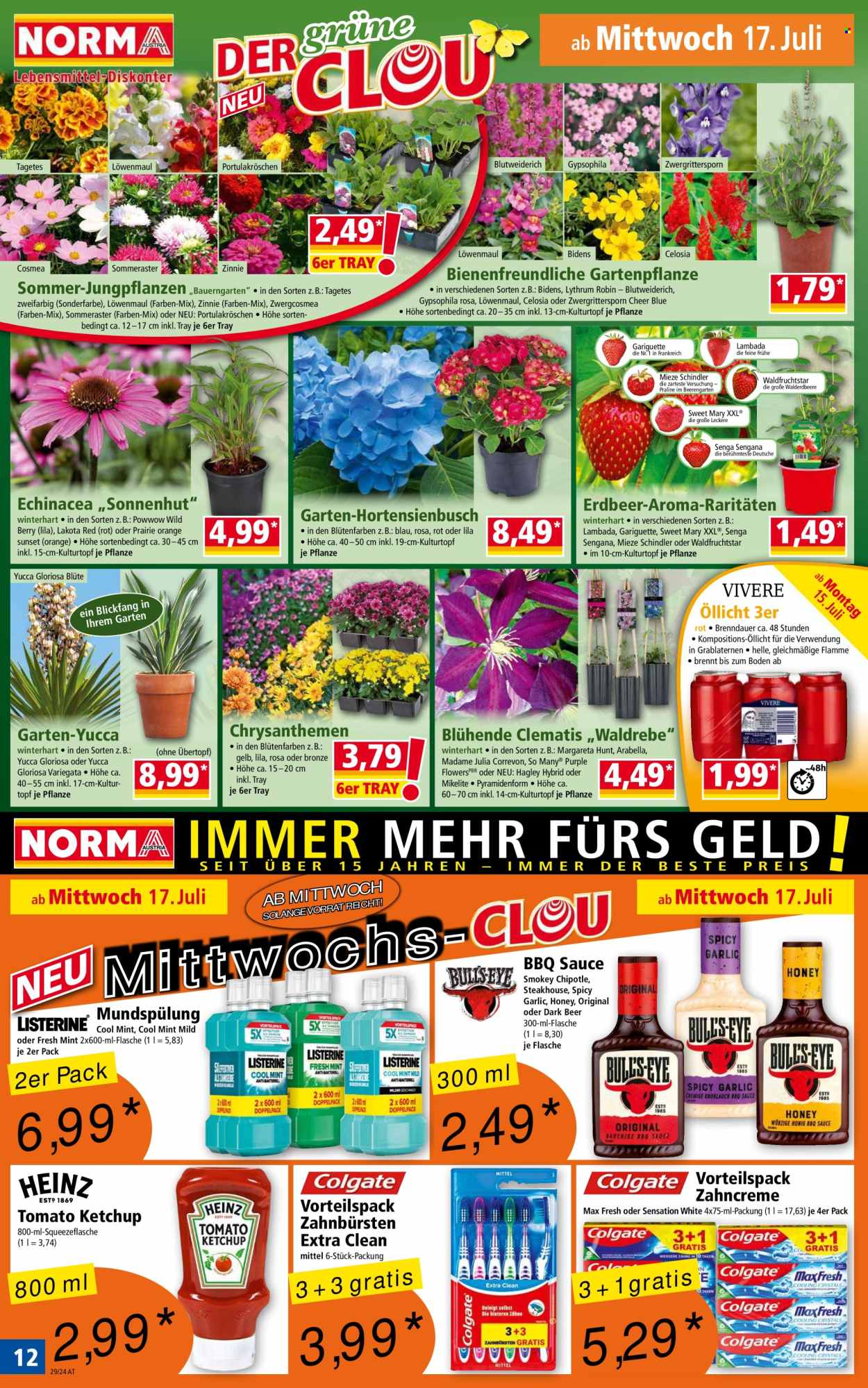 Angebote Norma - 15.7.2024 - 20.7.2024. Seite 12