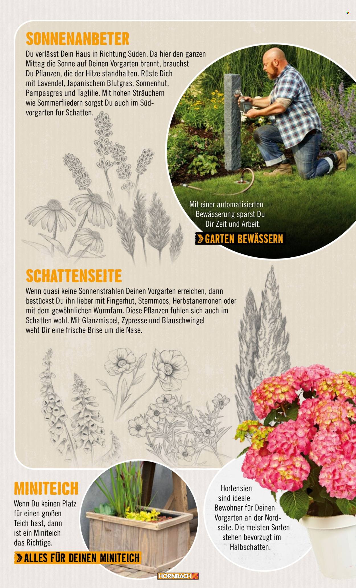 Angebote Hornbach. Seite 23