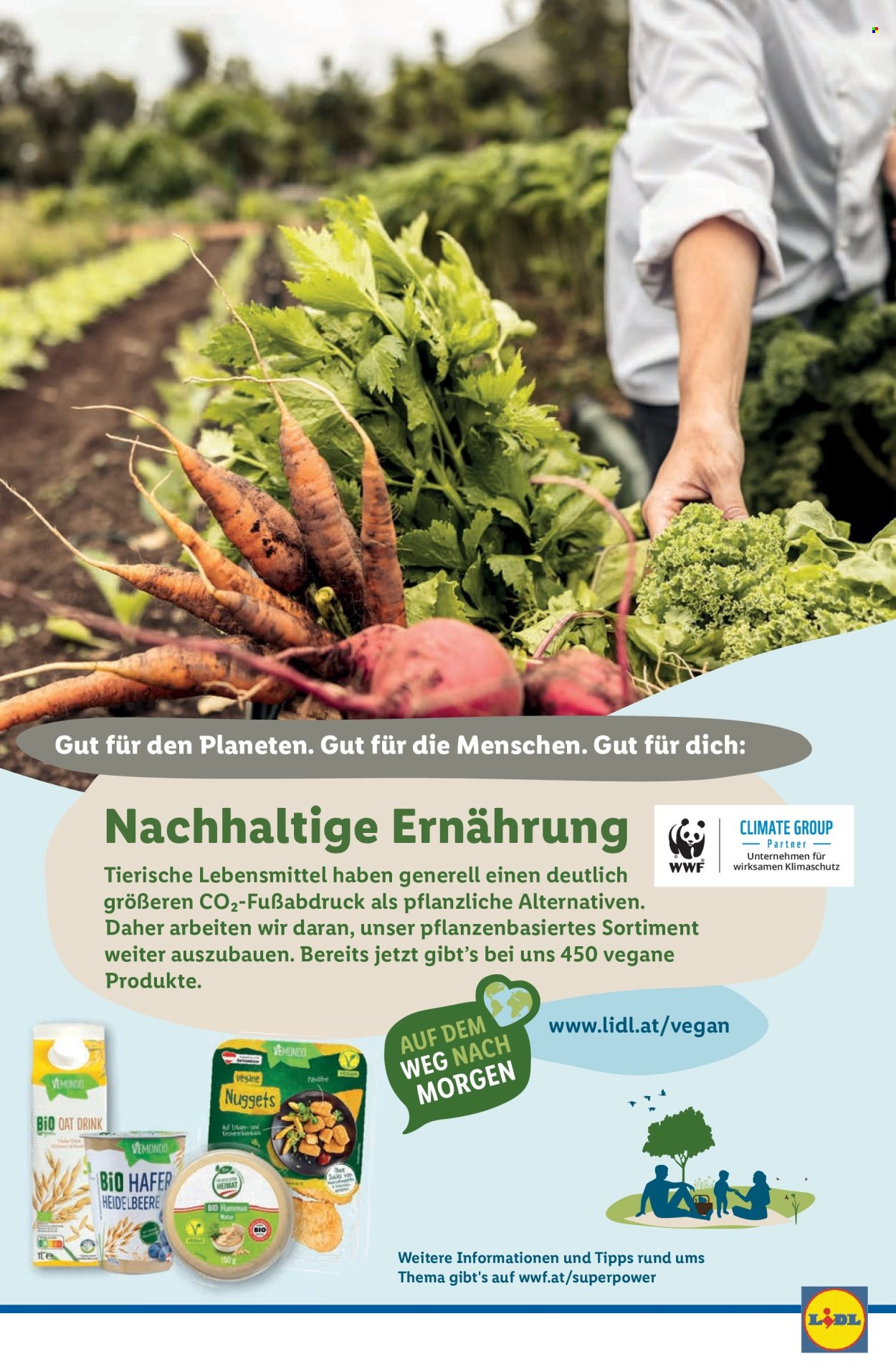 Angebote Lidl - 18.7.2024 - 24.7.2024. Seite 47