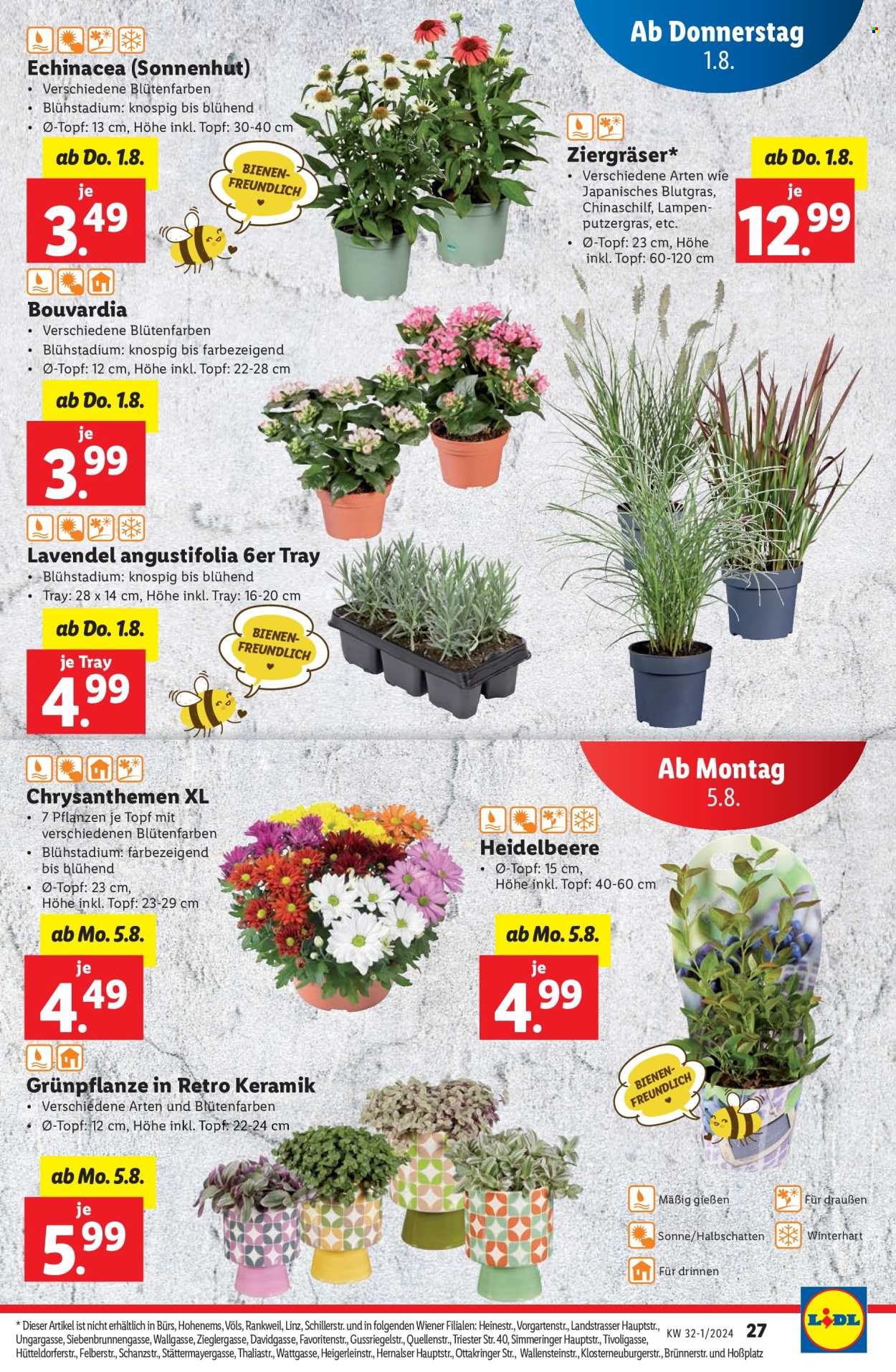 Angebote Lidl - 1.8.2024 - 7.8.2024. Seite 27