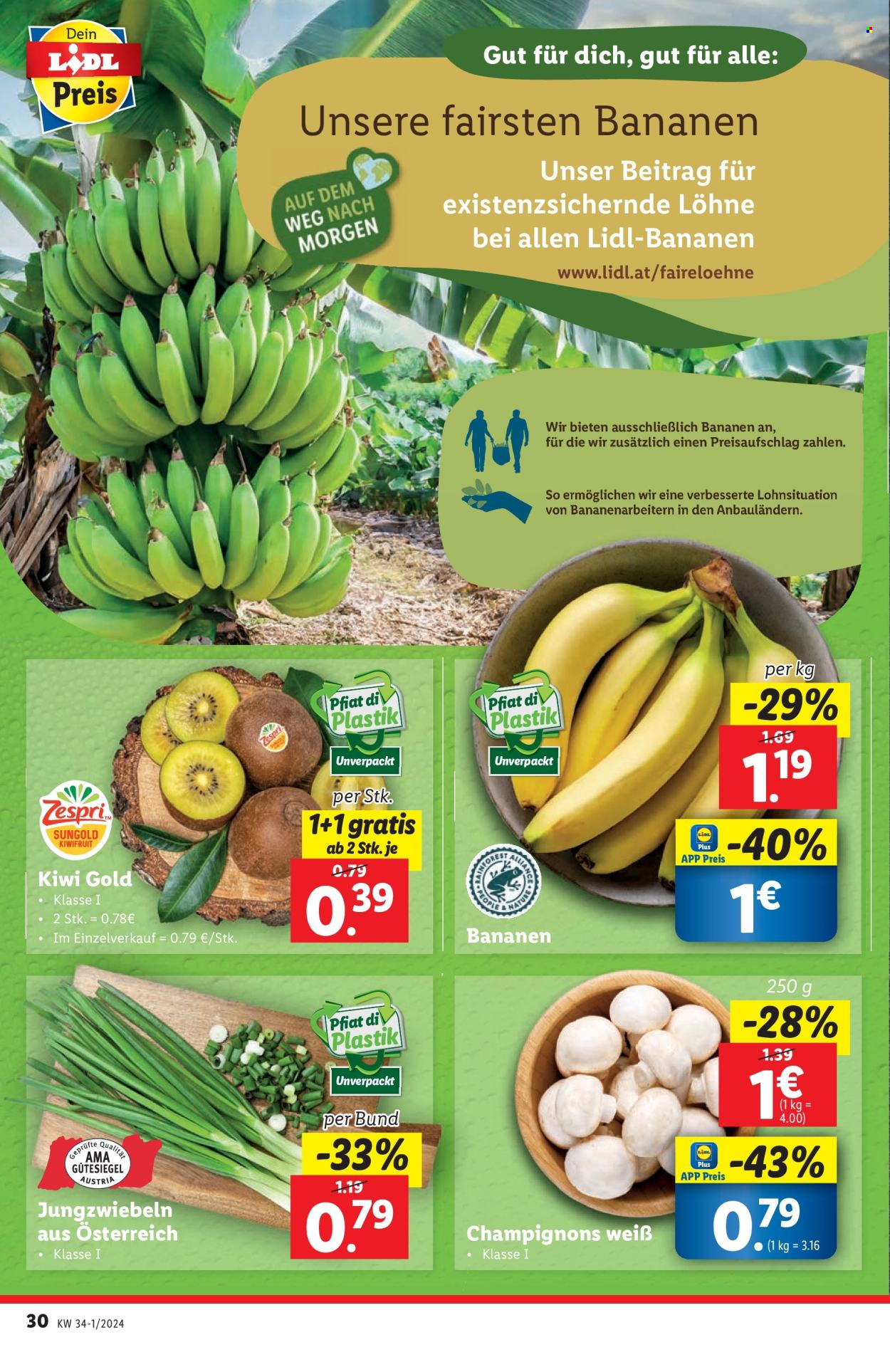 Angebote Lidl - 14.8.2024 - 20.8.2024. Seite 34