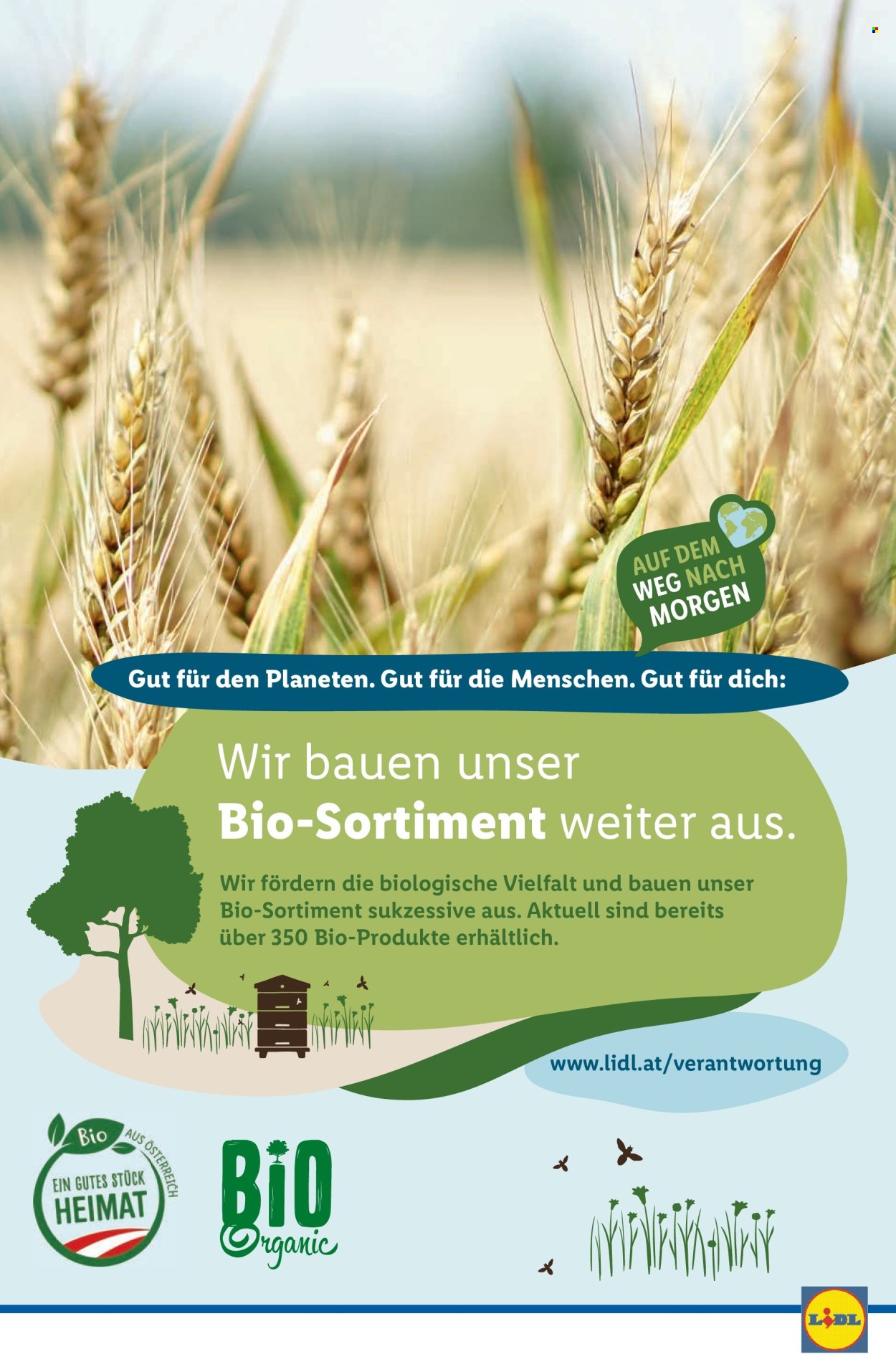 Angebote Lidl - 14.8.2024 - 20.8.2024. Seite 41