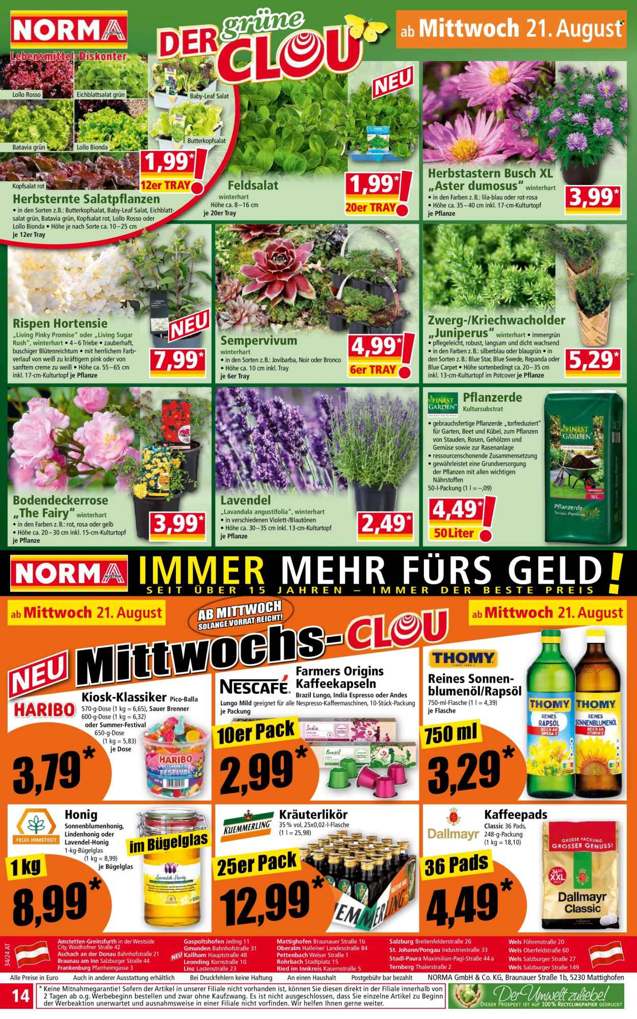 Angebote Norma - 19.8.2024 - 24.8.2024. Seite 14