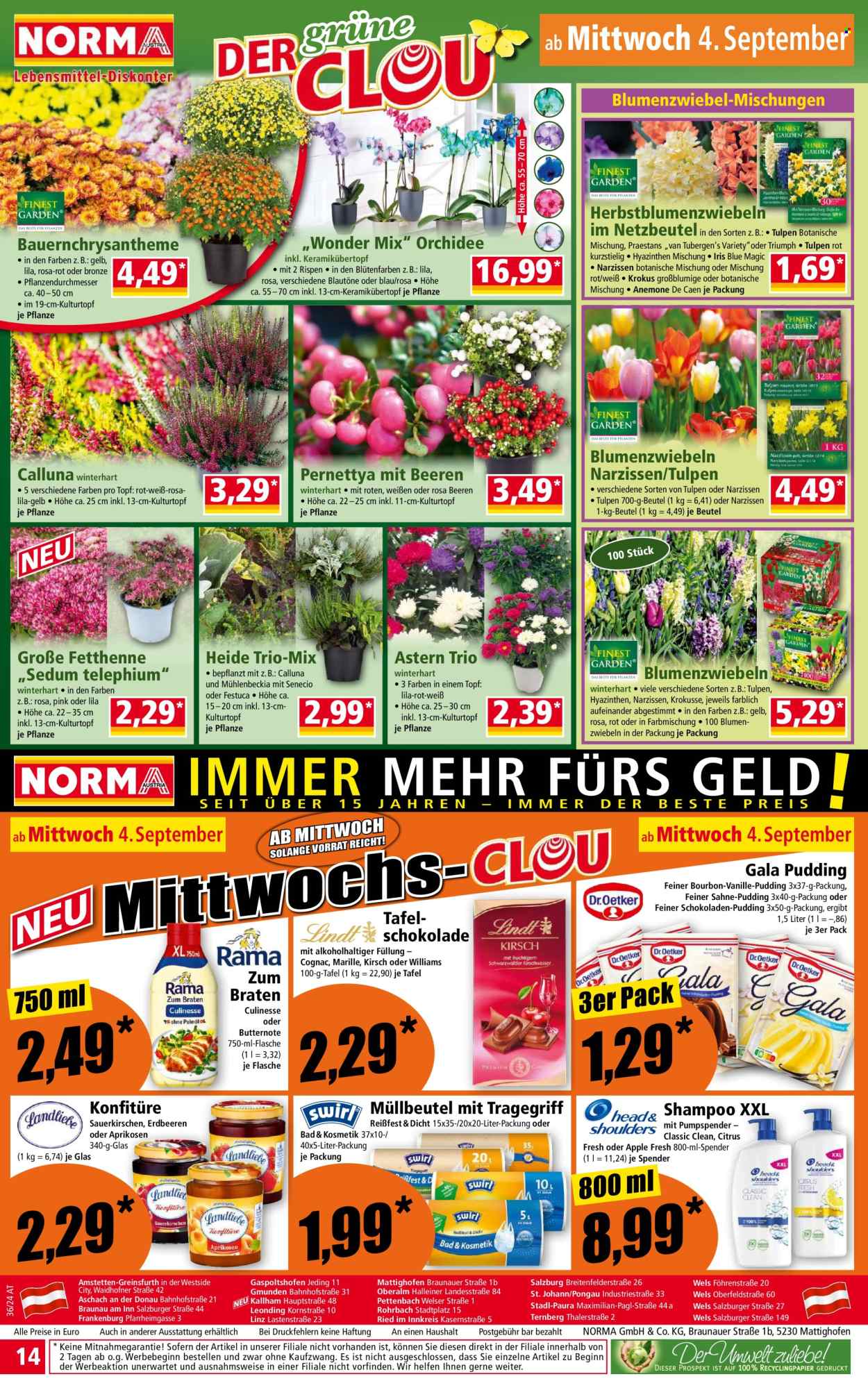 Angebote Norma - 2.9.2024 - 7.9.2024. Seite 14