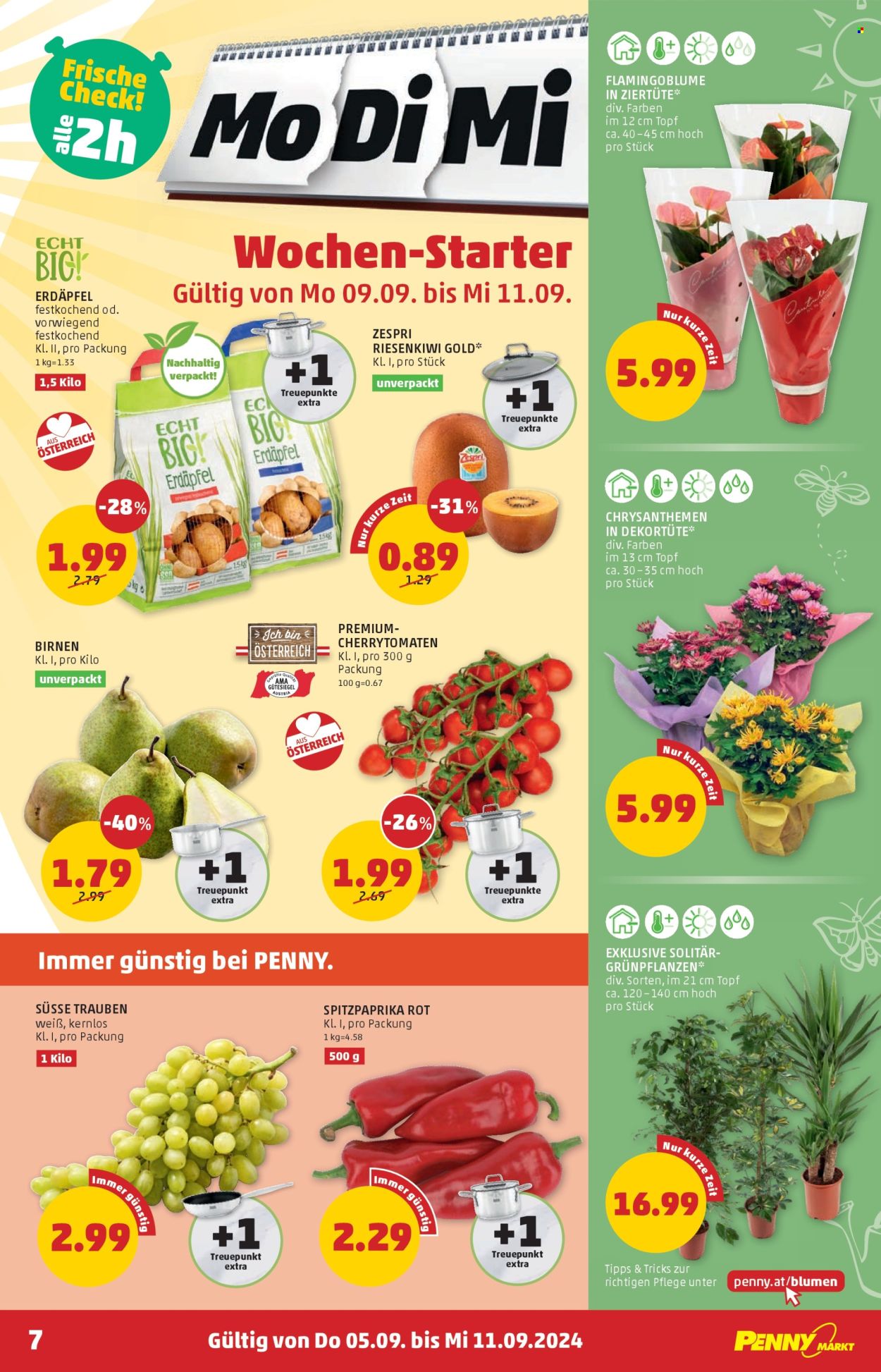 Angebote Penny - 5.9.2024 - 11.9.2024. Seite 7