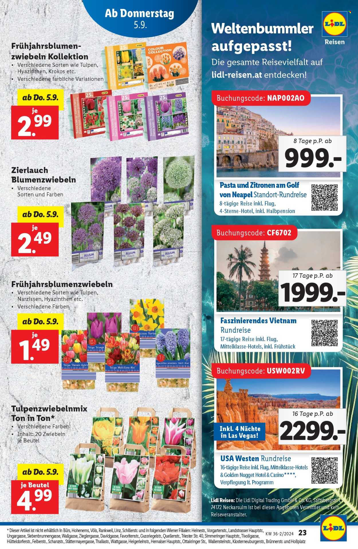 Angebote Lidl - 5.9.2024 - 11.9.2024. Seite 23