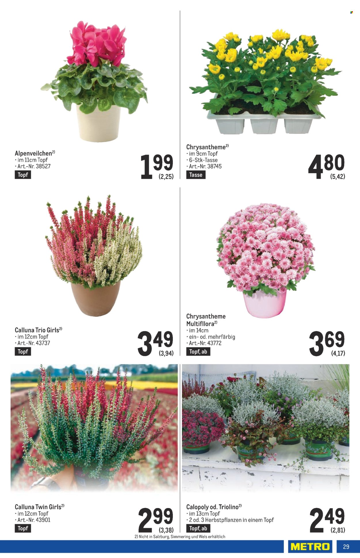Angebote Metro - 5.9.2024 - 18.9.2024. Seite 29