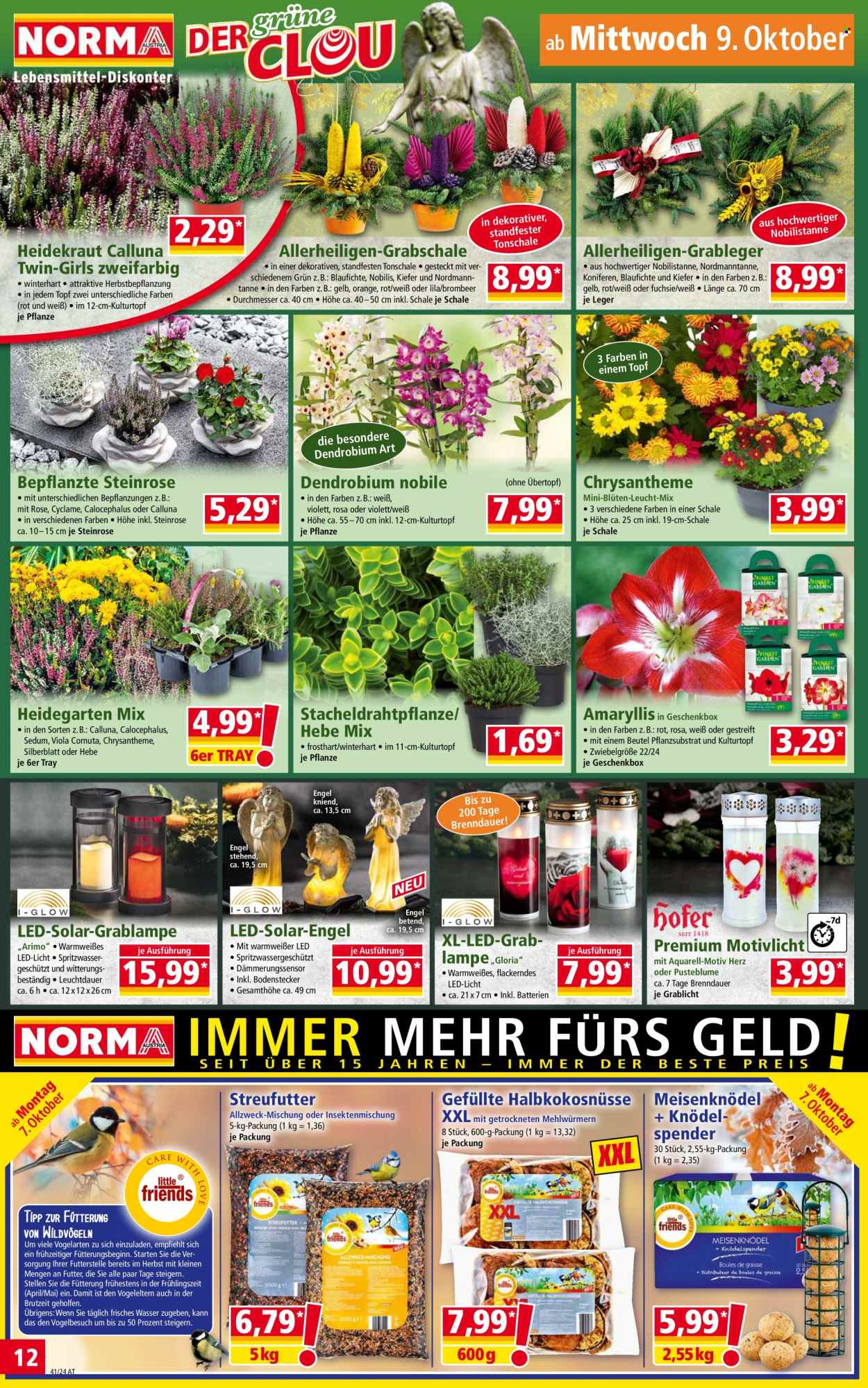 Angebote Norma - 7.10.2024 - 12.10.2024. Seite 12